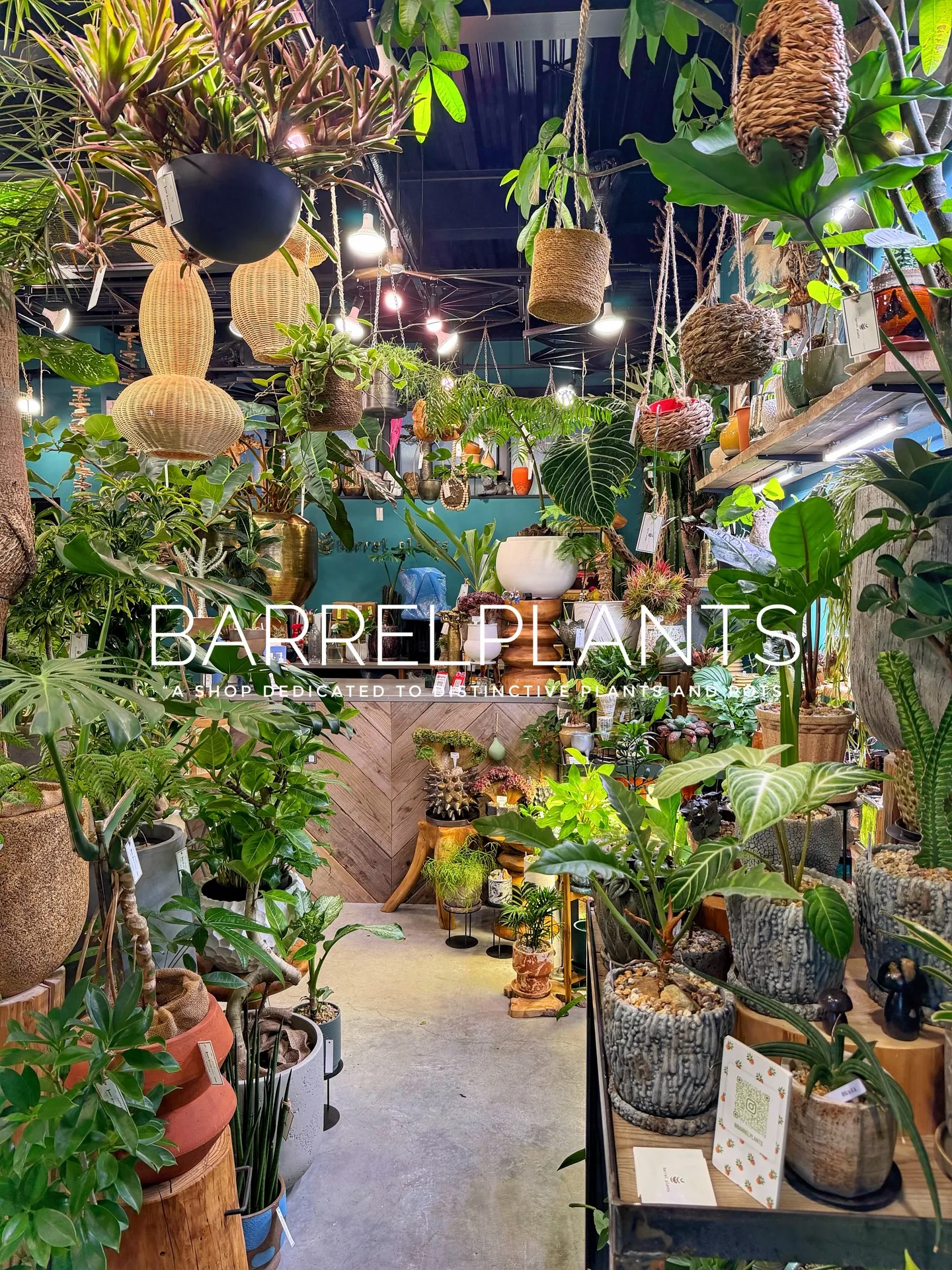 「少し模様替えして、よりバーレルプランツらしく。