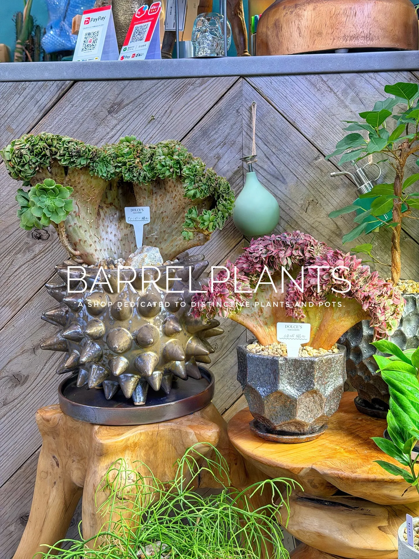 「少し模様替えして、よりバーレルプランツらしく。