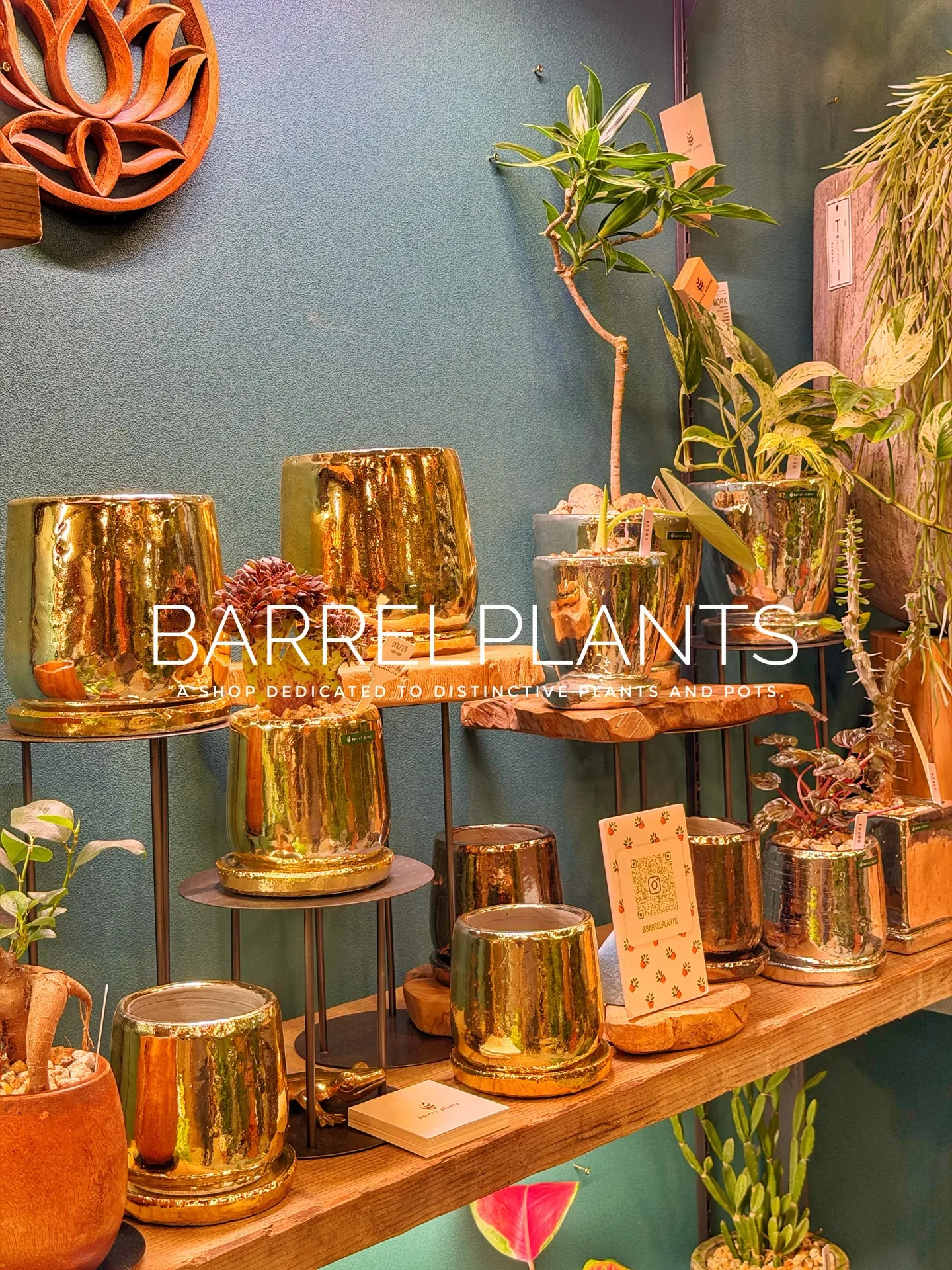 「少し模様替えして、よりバーレルプランツらしく。