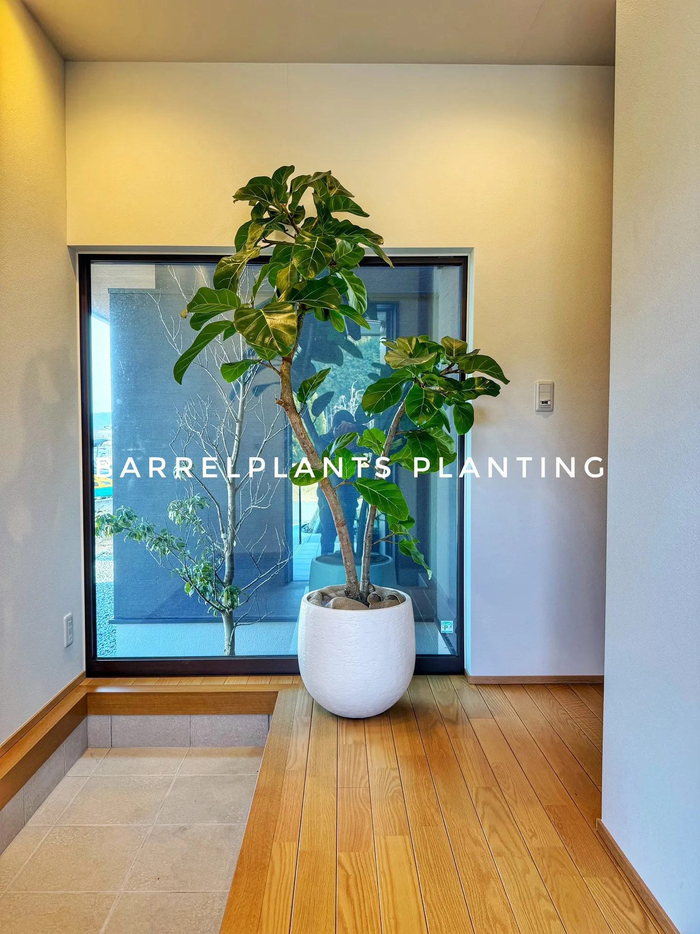 「少し模様替えして、よりバーレルプランツらしく。