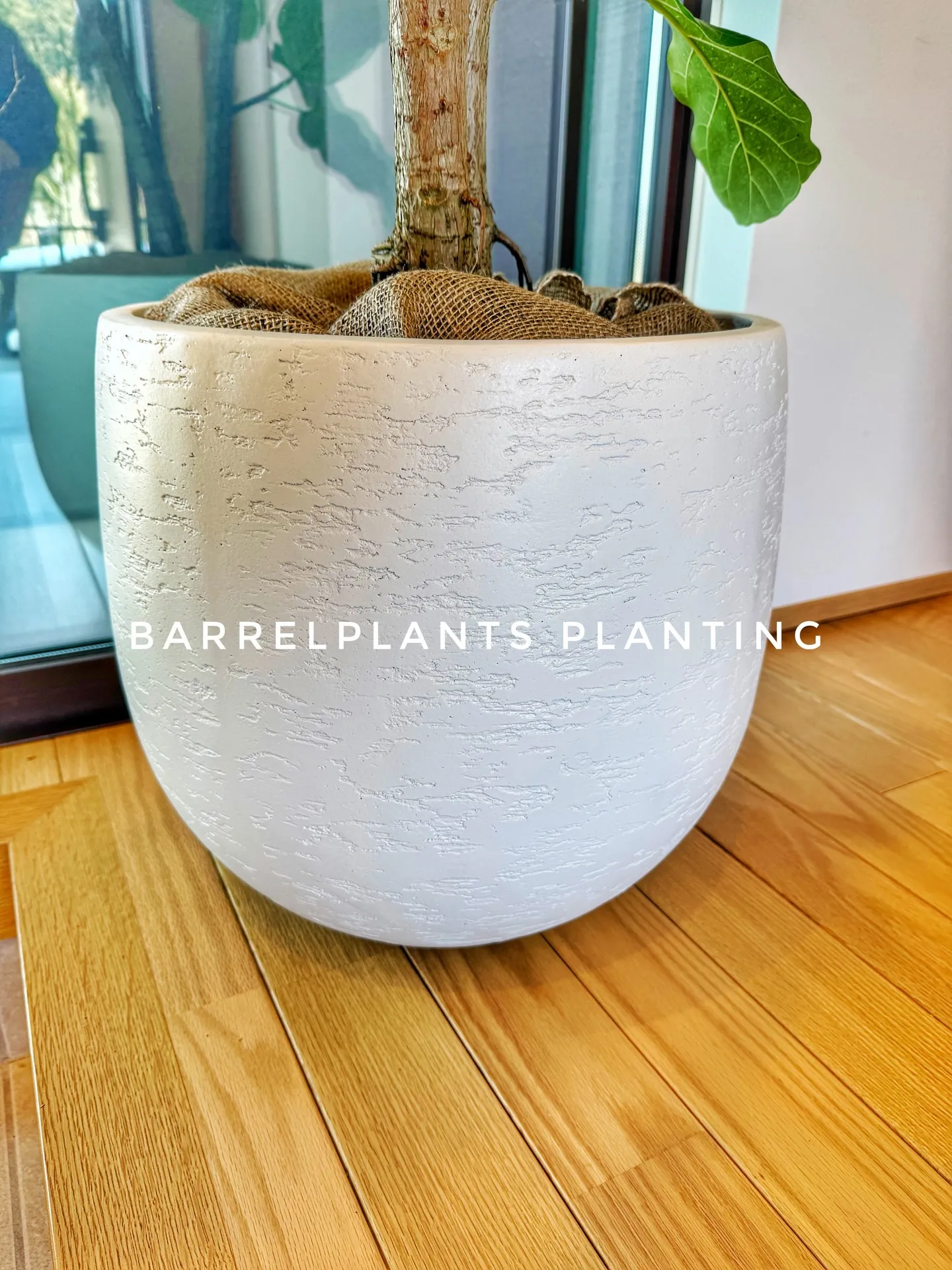 「少し模様替えして、よりバーレルプランツらしく。