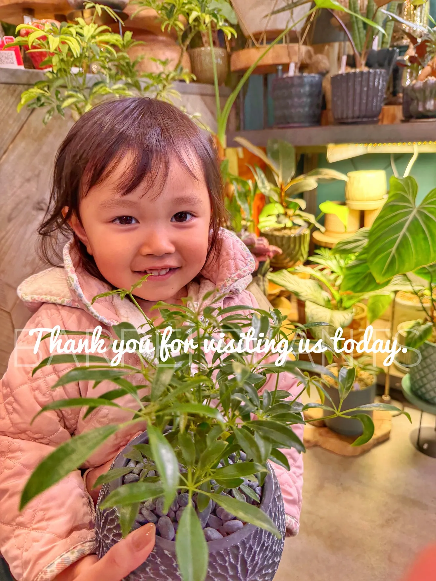 ✨今日も素敵なお客様と、新たな植物たちが仲間入りしました✨