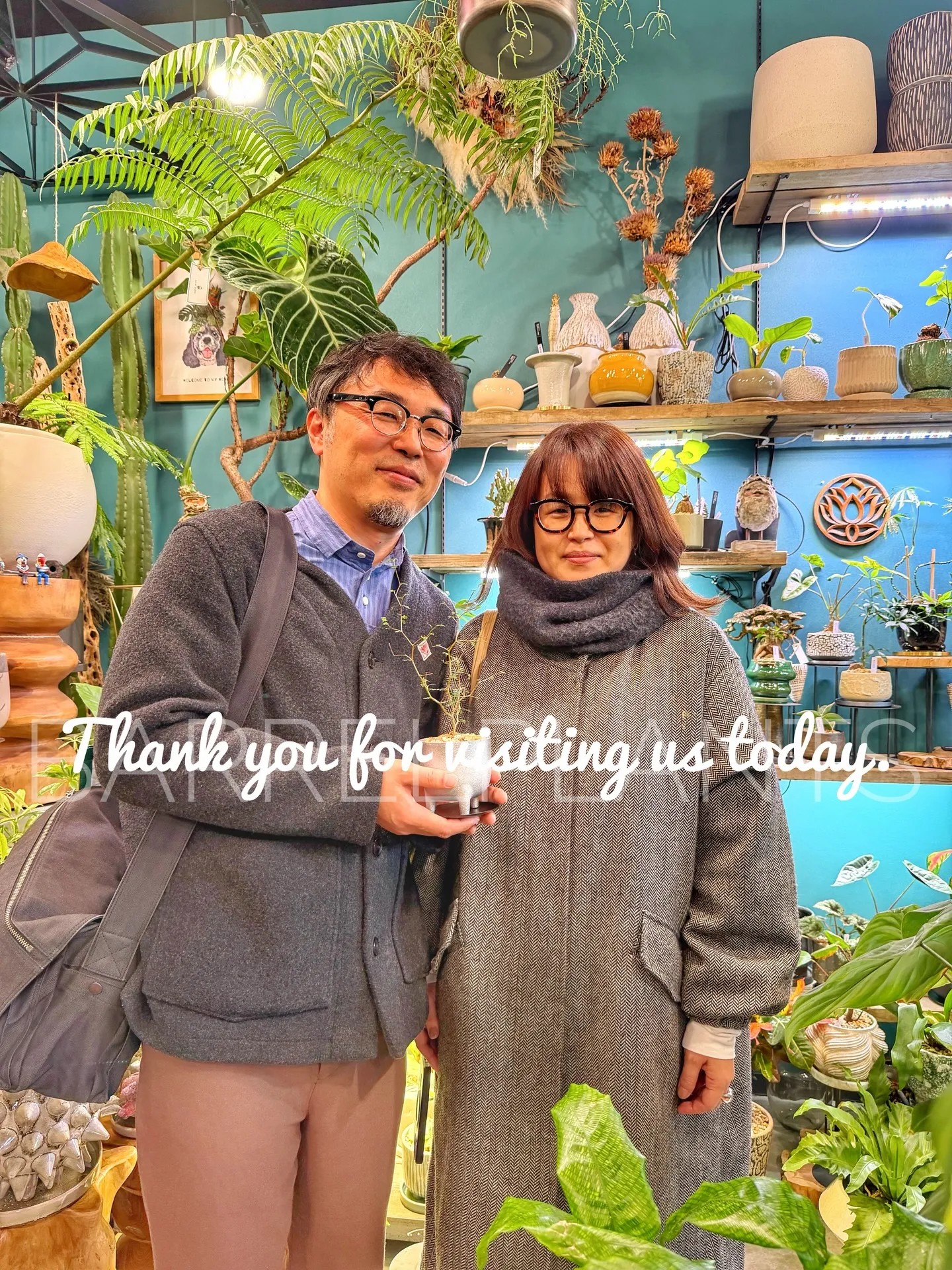 ✨今日も素敵なお客様と、新たな植物たちが仲間入りしました✨