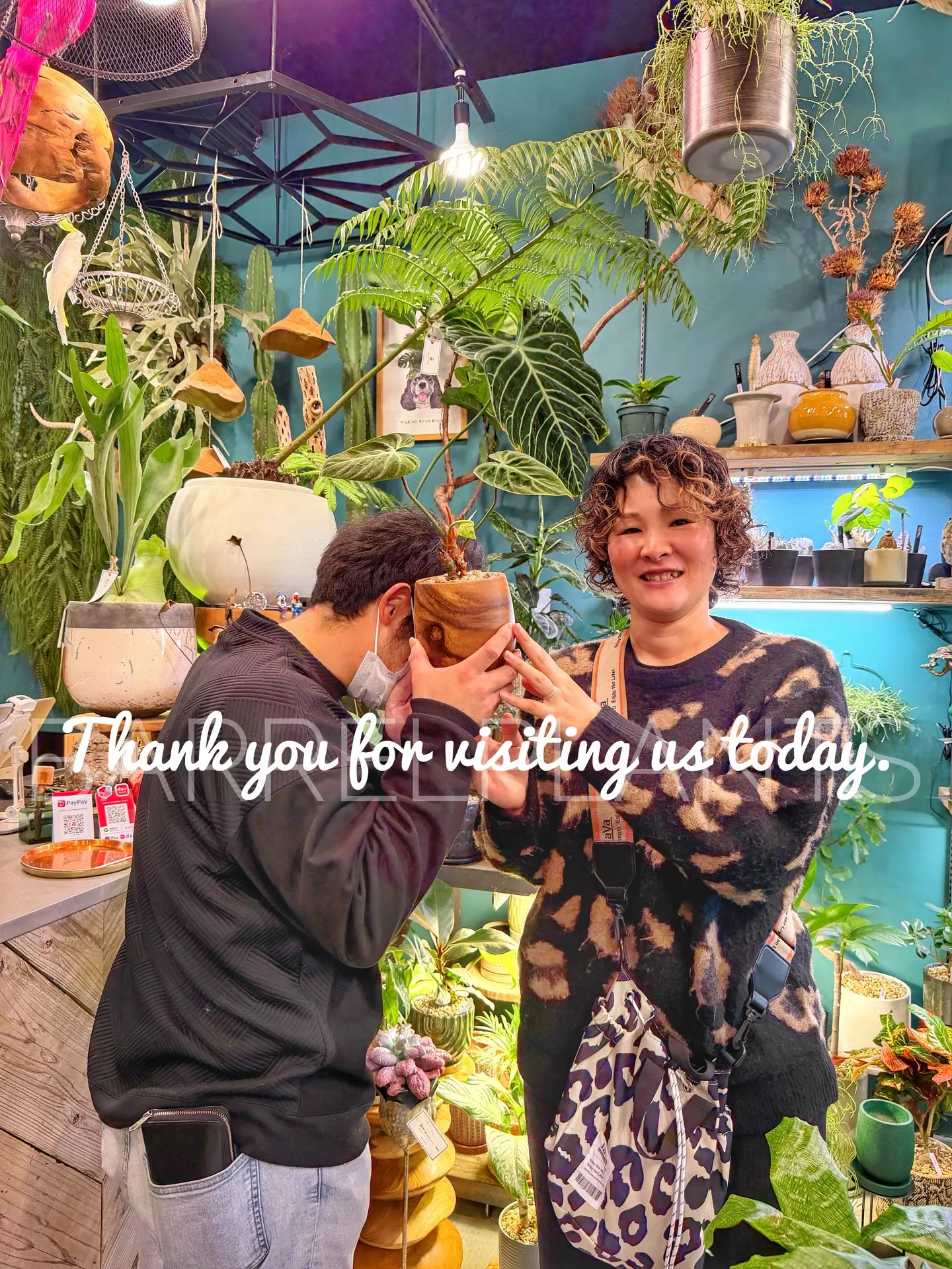 ✨今日も素敵なお客様と、新たな植物たちが仲間入りしました✨