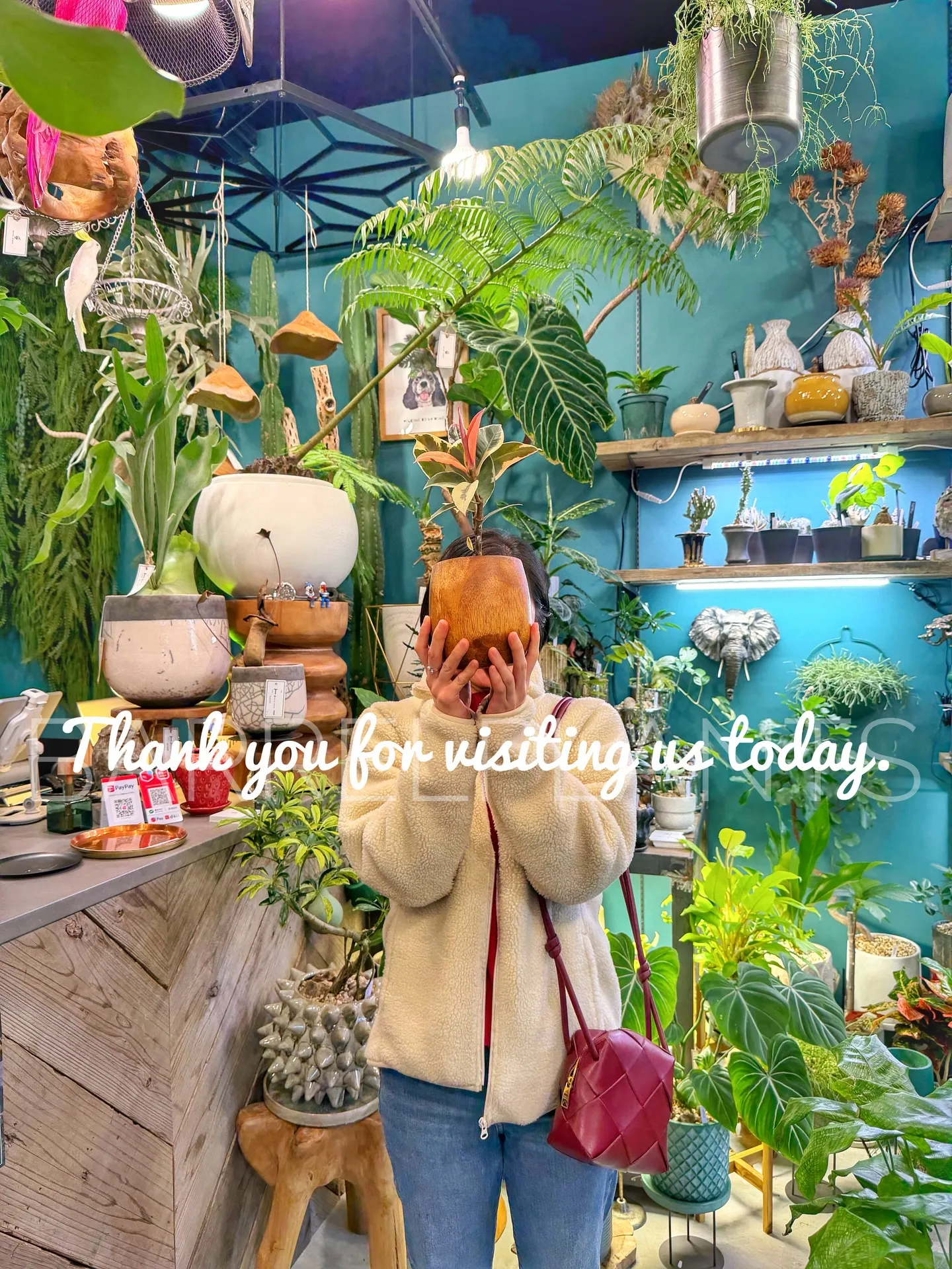 ✨今日も素敵なお客様と、新たな植物たちが仲間入りしました✨