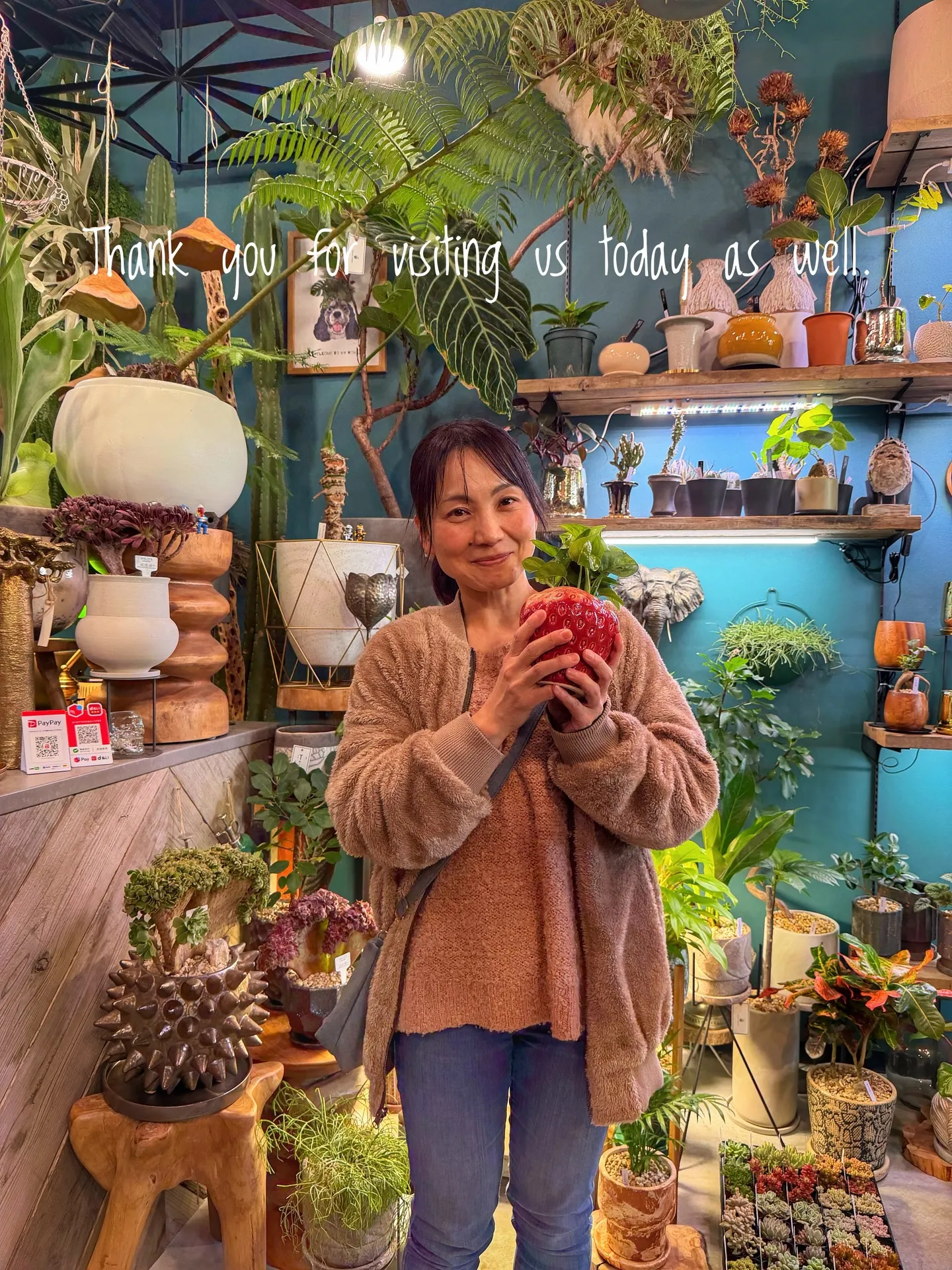 ✨今日も素敵なお客様と、新たな植物たちが仲間入りしました✨