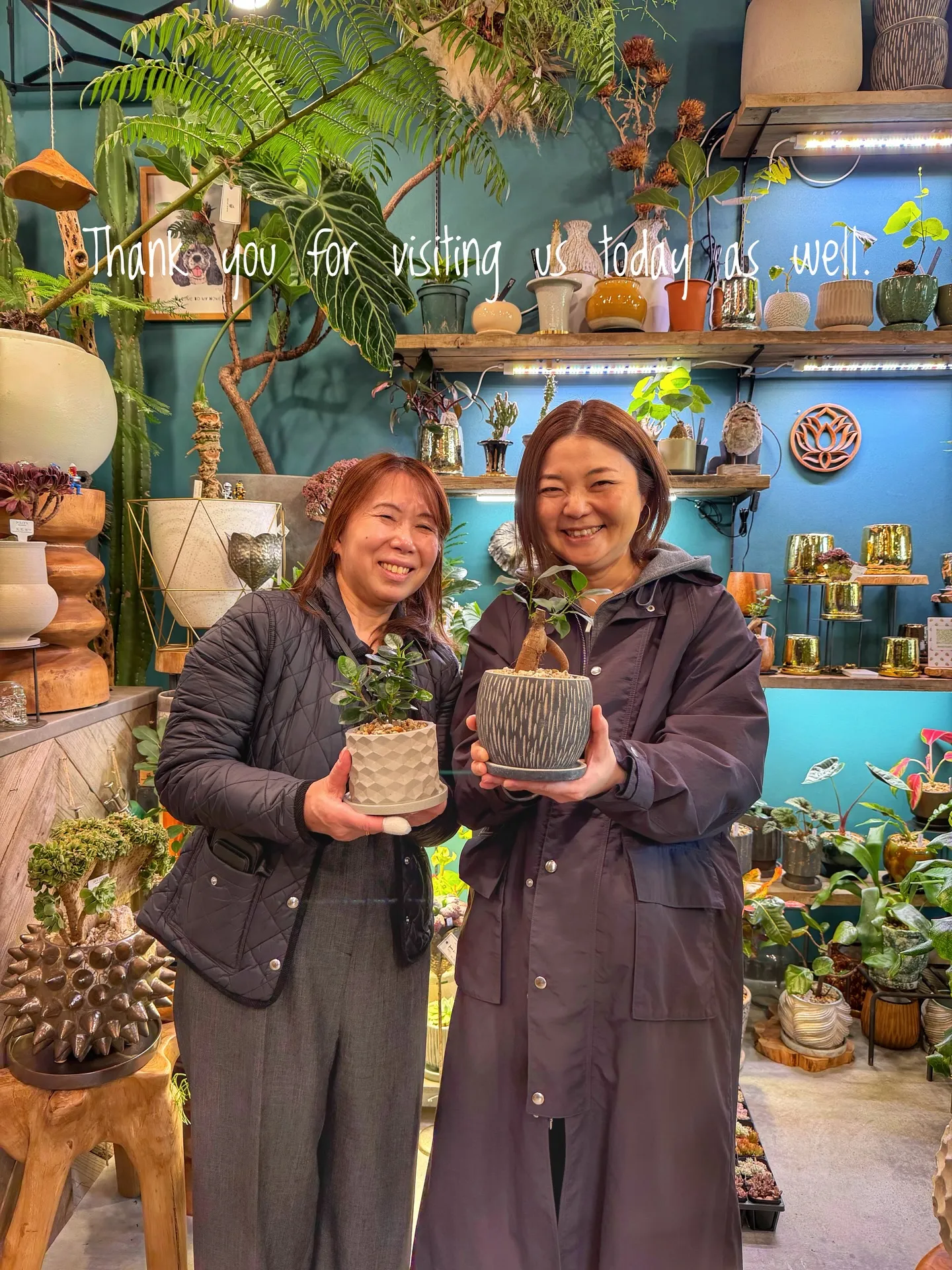 ✨今日も素敵なお客様と、新たな植物たちが仲間入りしました✨