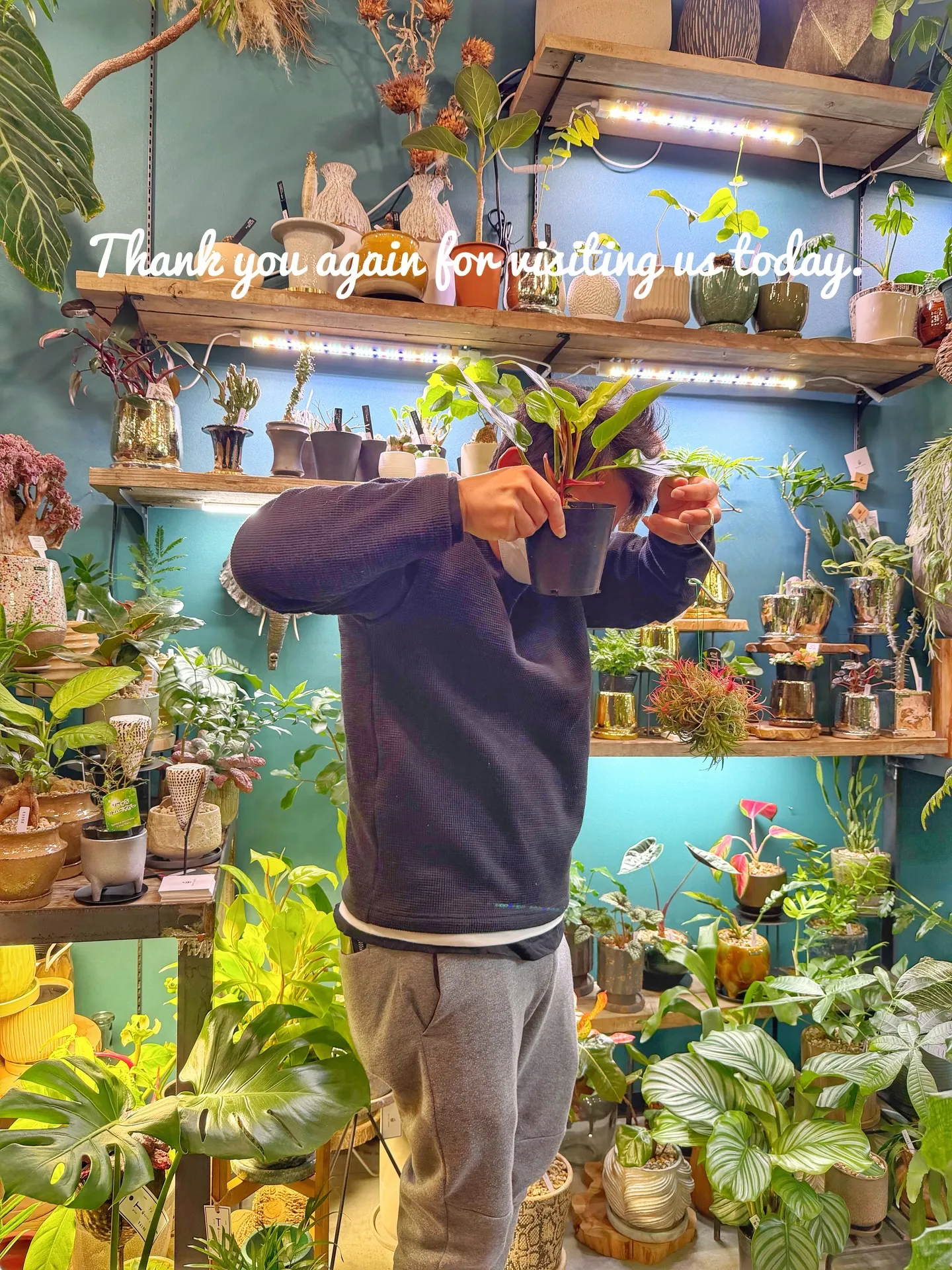 【本日、人気のイチゴ鉢、ところにより「植物と素敵なお客様の日...