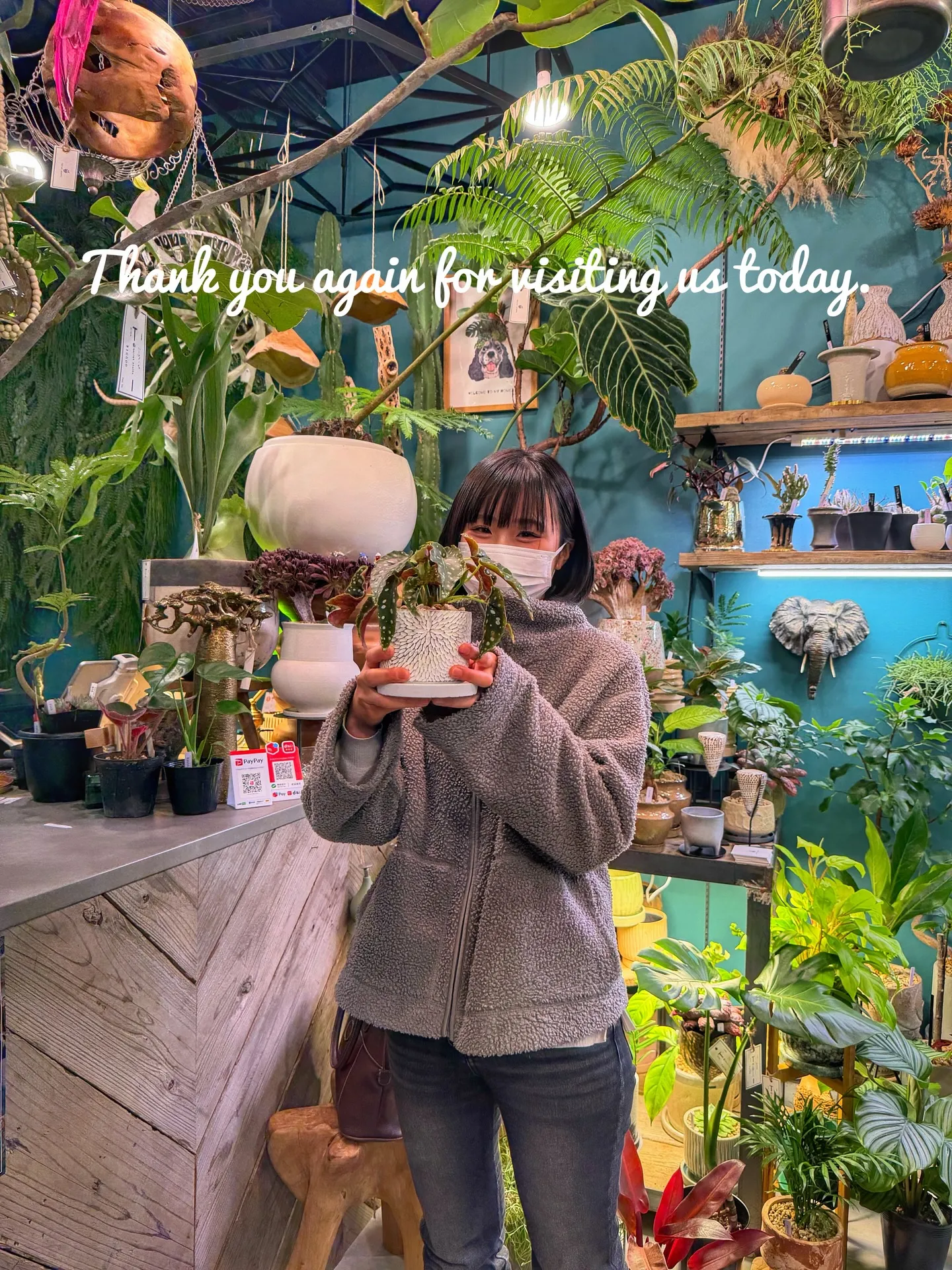 【本日、人気のイチゴ鉢、ところにより「植物と素敵なお客様の日...