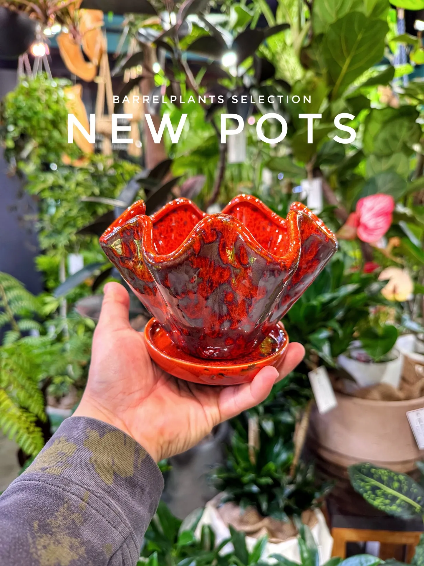 新作ポット、到着しました。