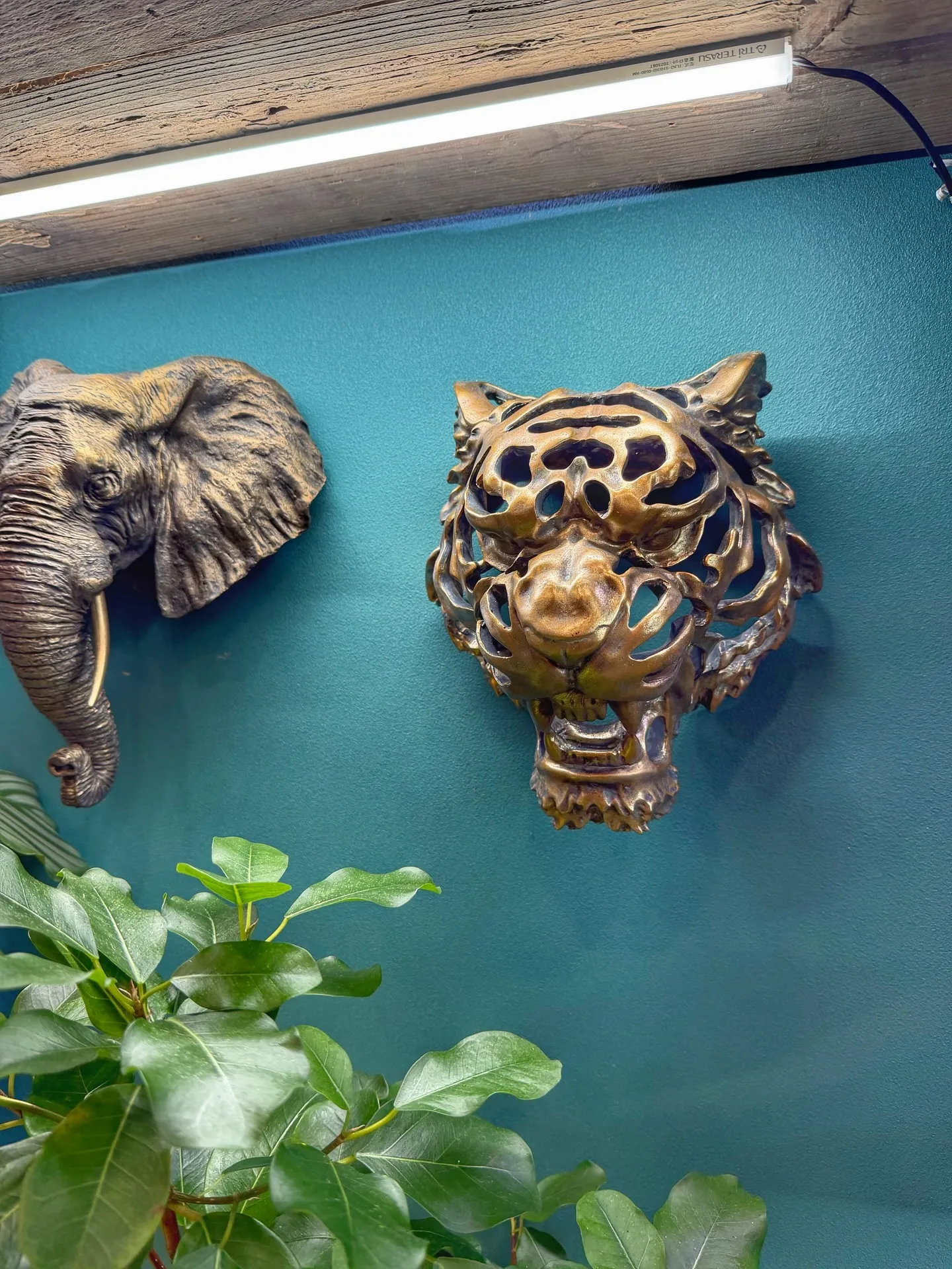 新作ポット、到着しました。