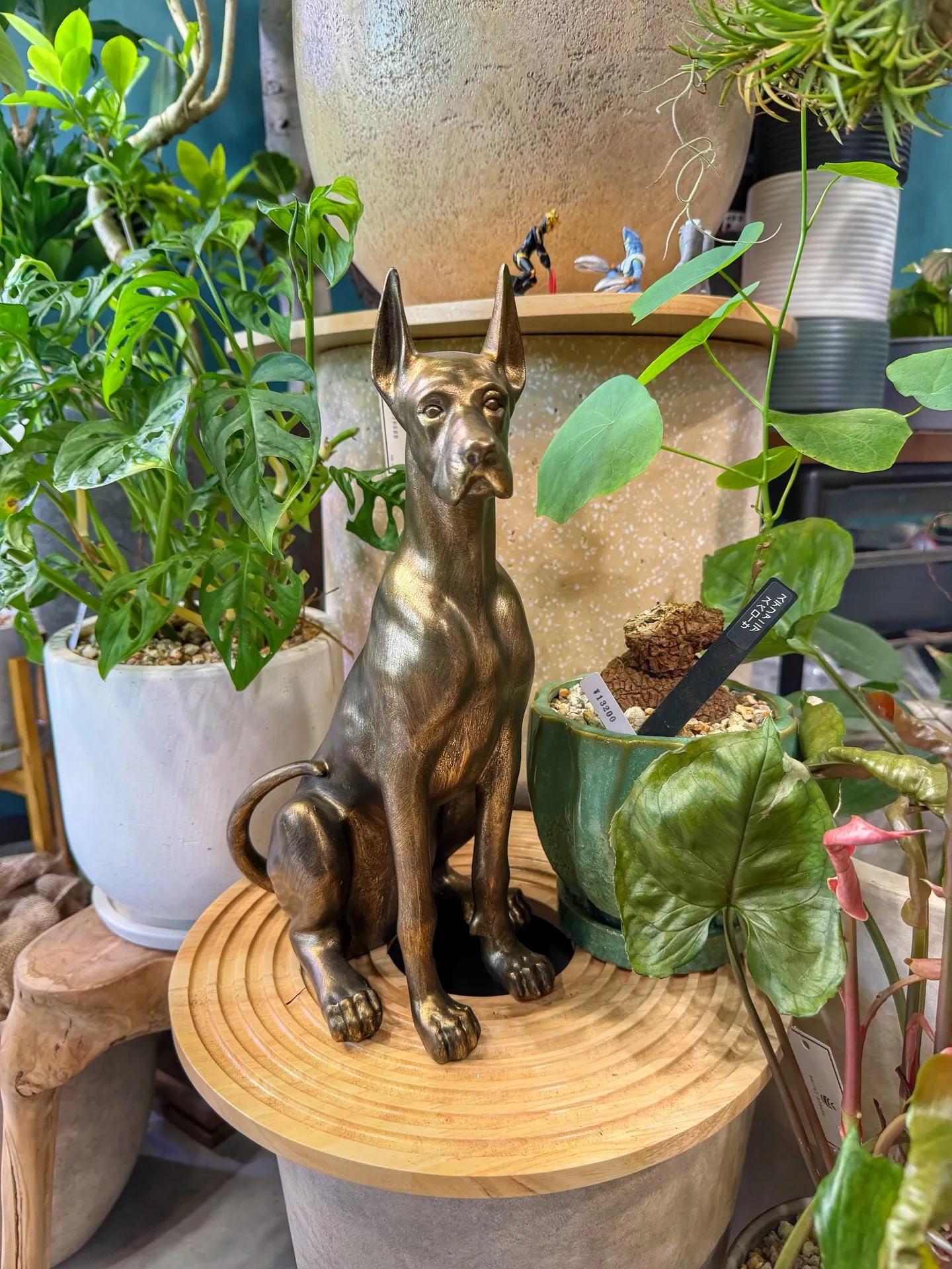 新作ポット、到着しました。