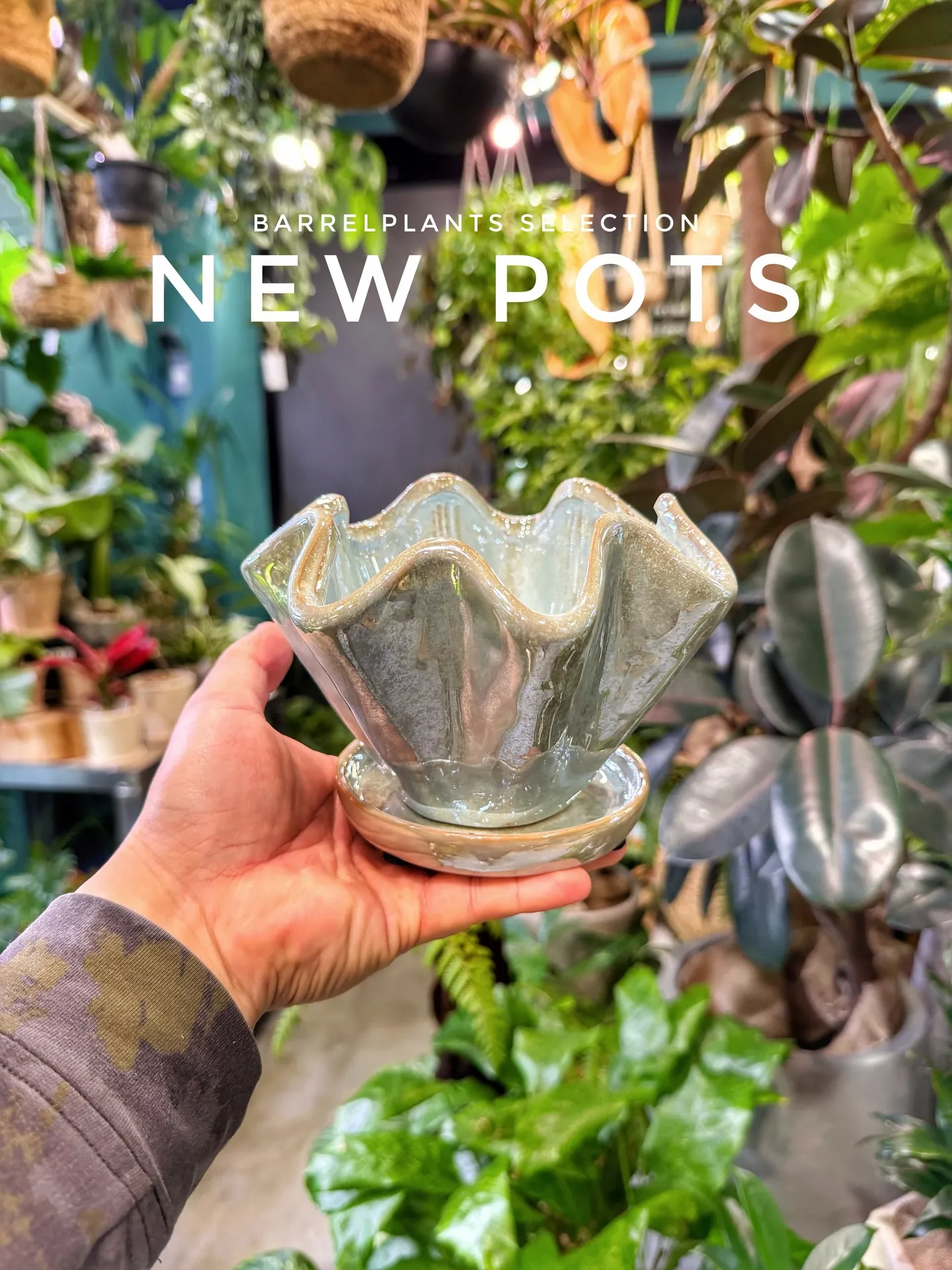 新作ポット、到着しました。