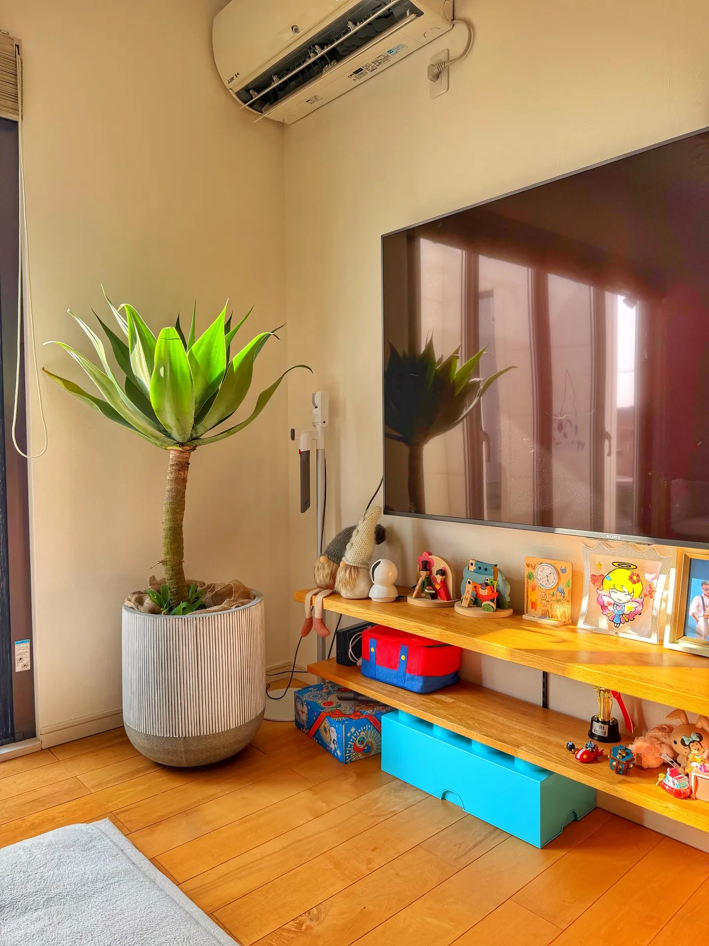 「店内パンパン!8号鉢もたっぷり揃いました」