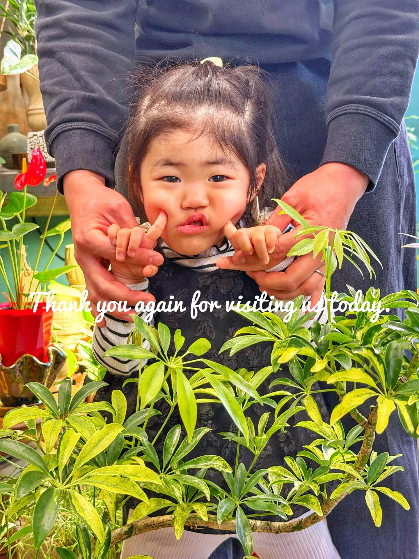 「店内パンパン!8号鉢もたっぷり揃いました」