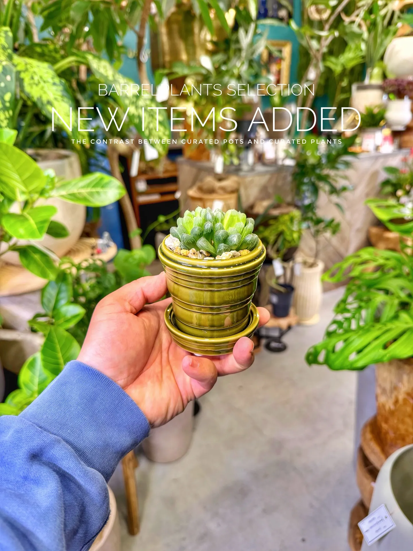 BARRELPLANTS SELECTION