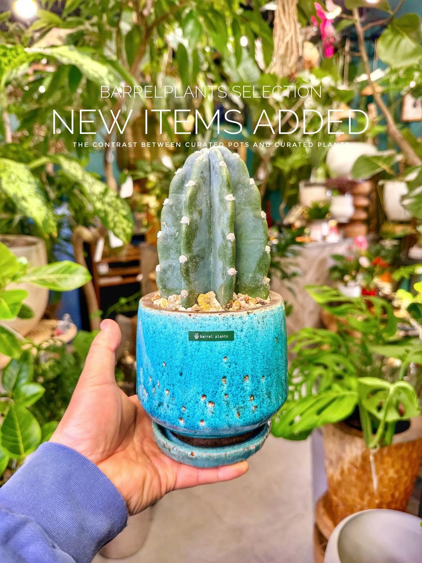 BARRELPLANTS SELECTION