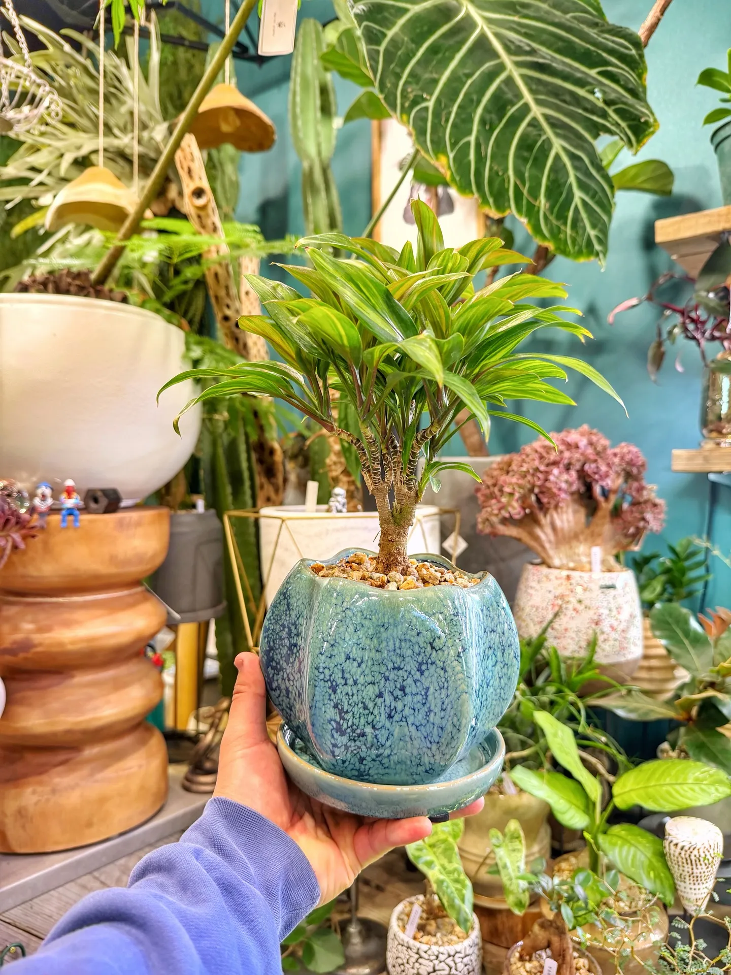 Lovely customers over the long...