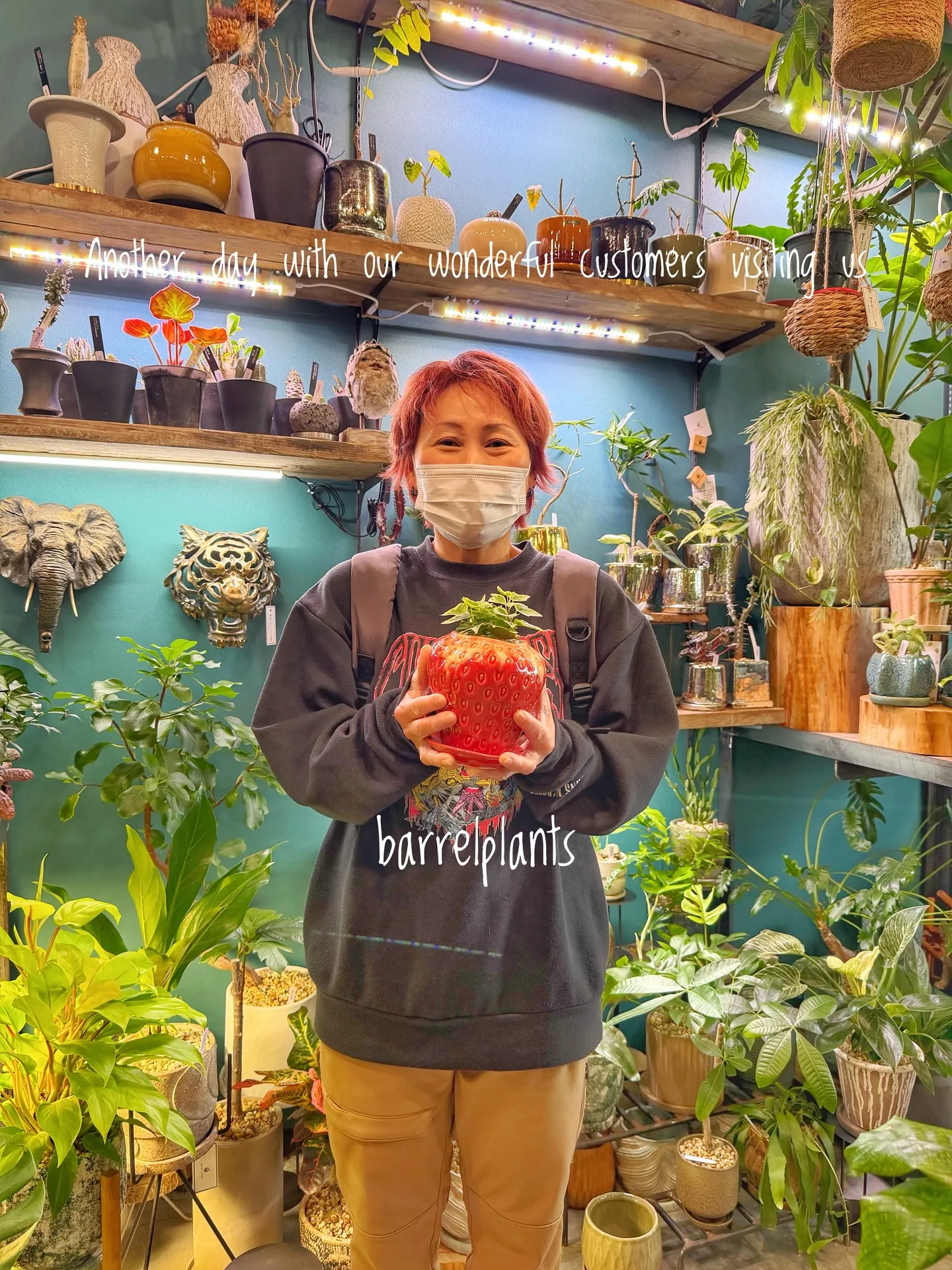 バーレルプランツのかわいい多肉たち