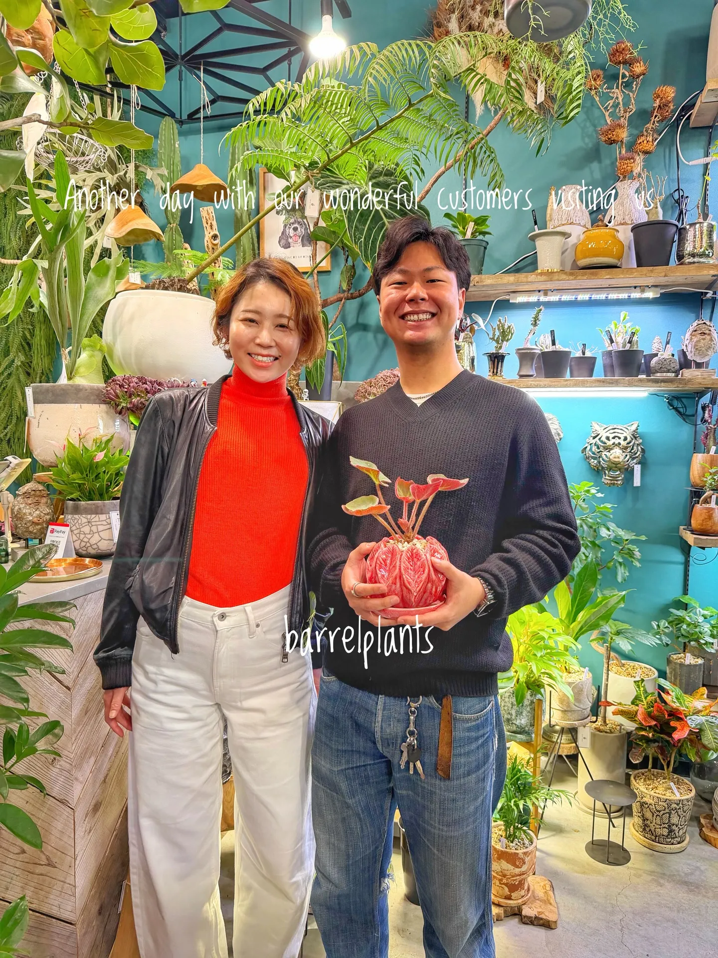 バーレルプランツのかわいい多肉たち