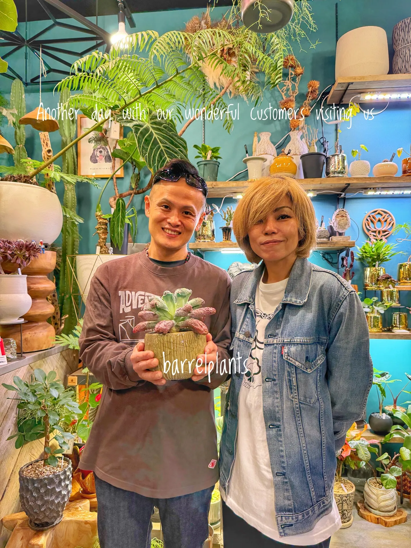 バーレルプランツのかわいい多肉たち