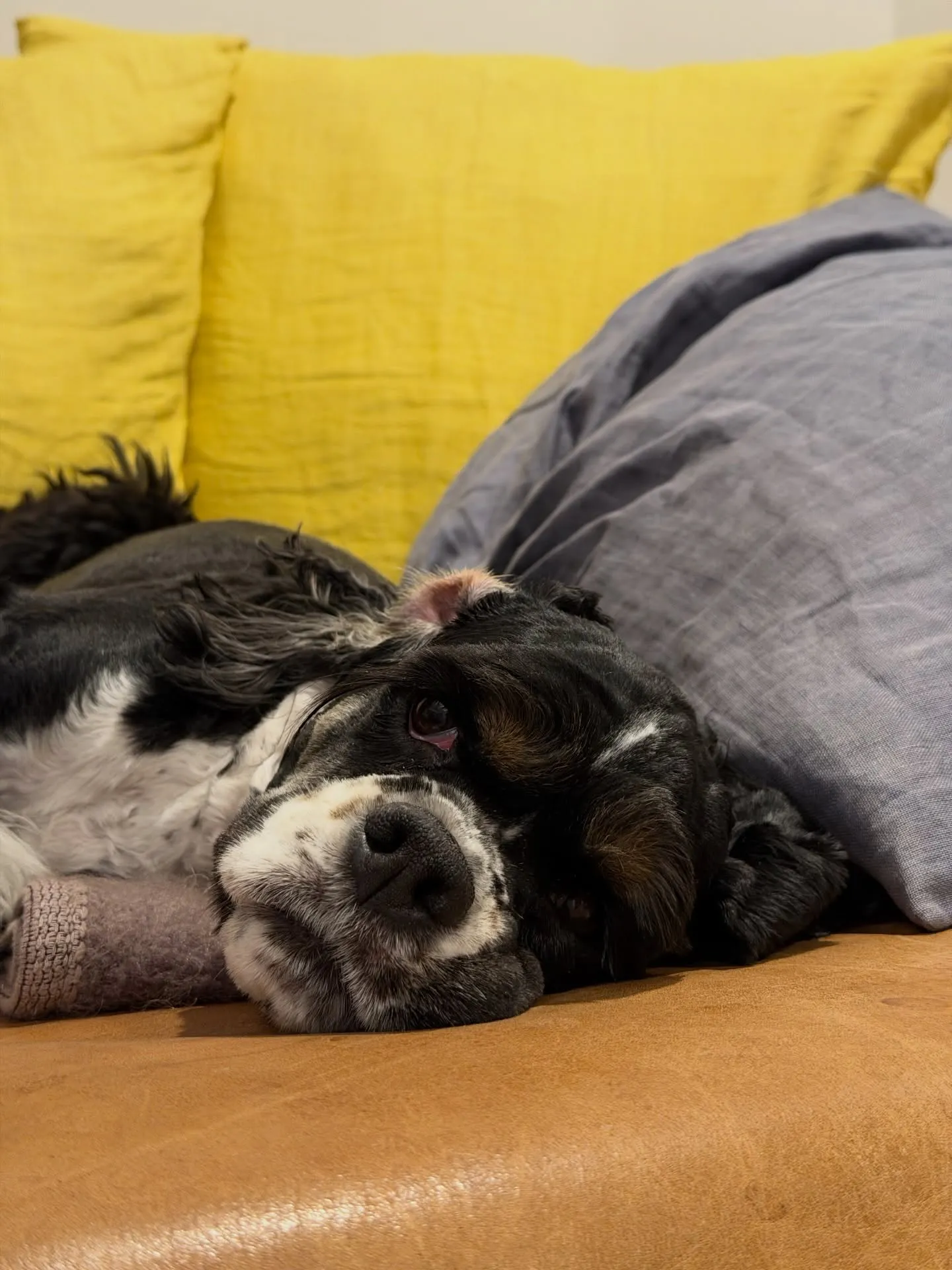 こだわりの植物を皆さまへ届けています。