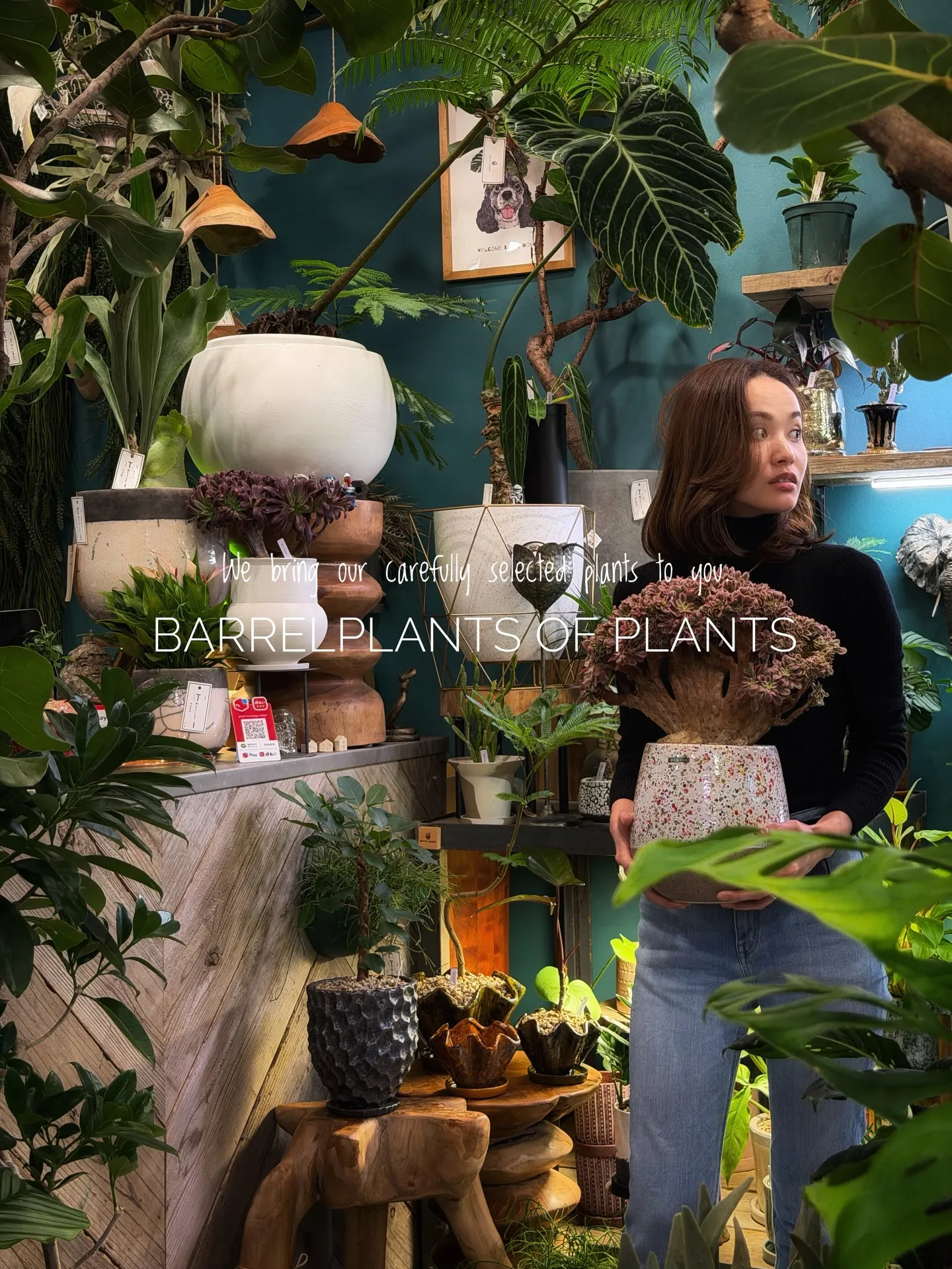 「こだわりの植物が揃うバーレルプランツ」