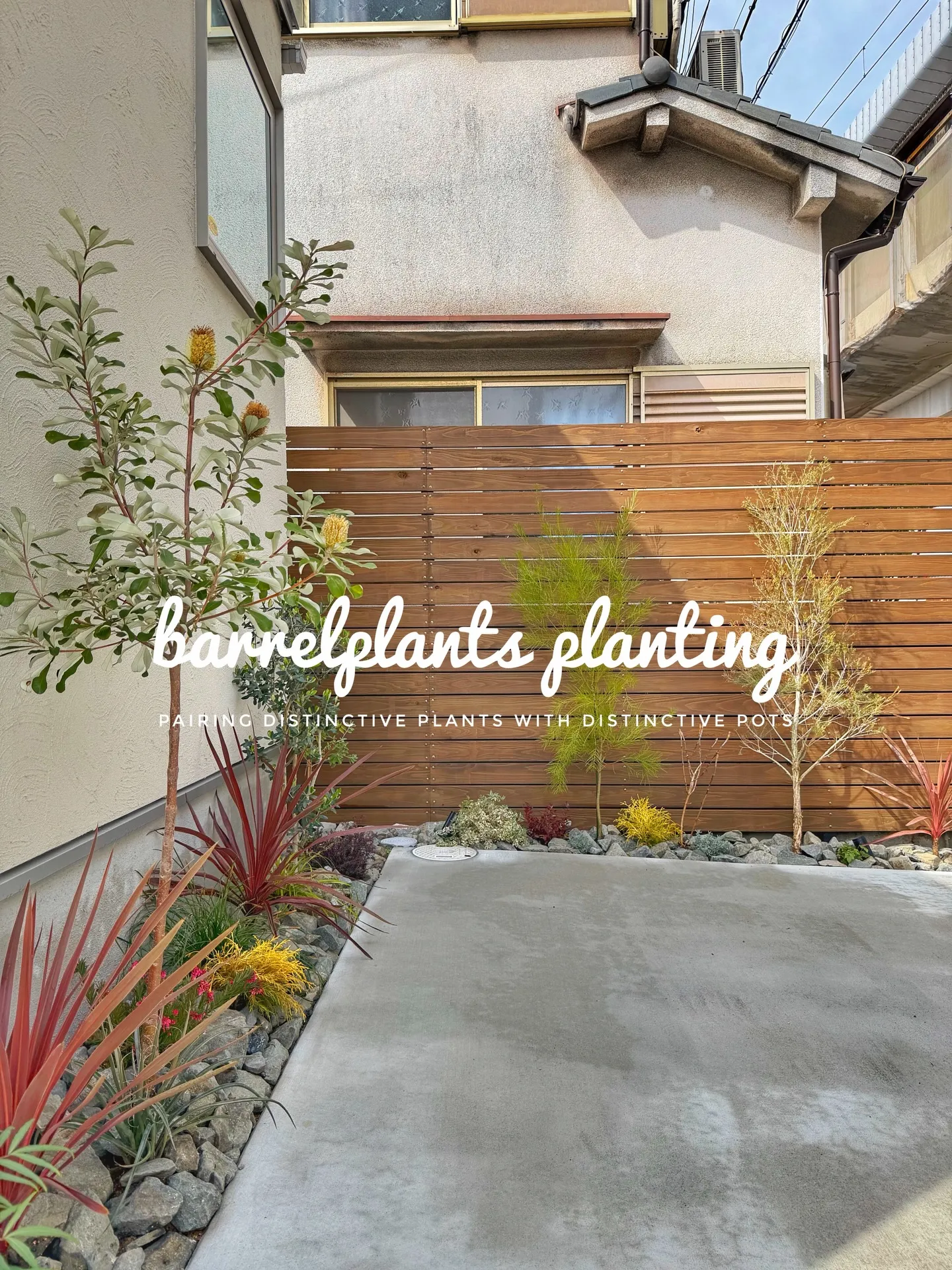 「こだわりの植物が揃うバーレルプランツ」