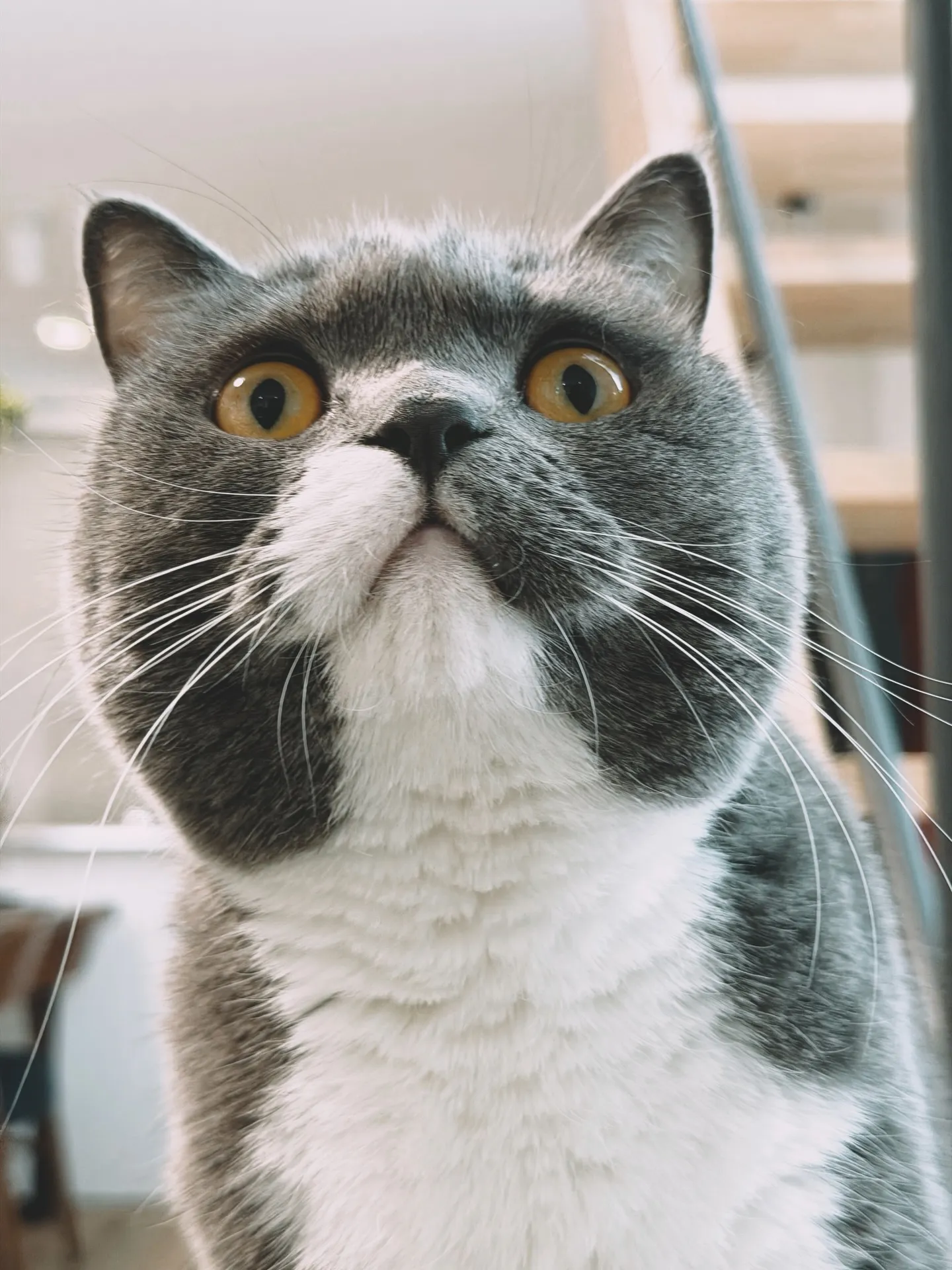 「こだわりの植物が揃うバーレルプランツ」