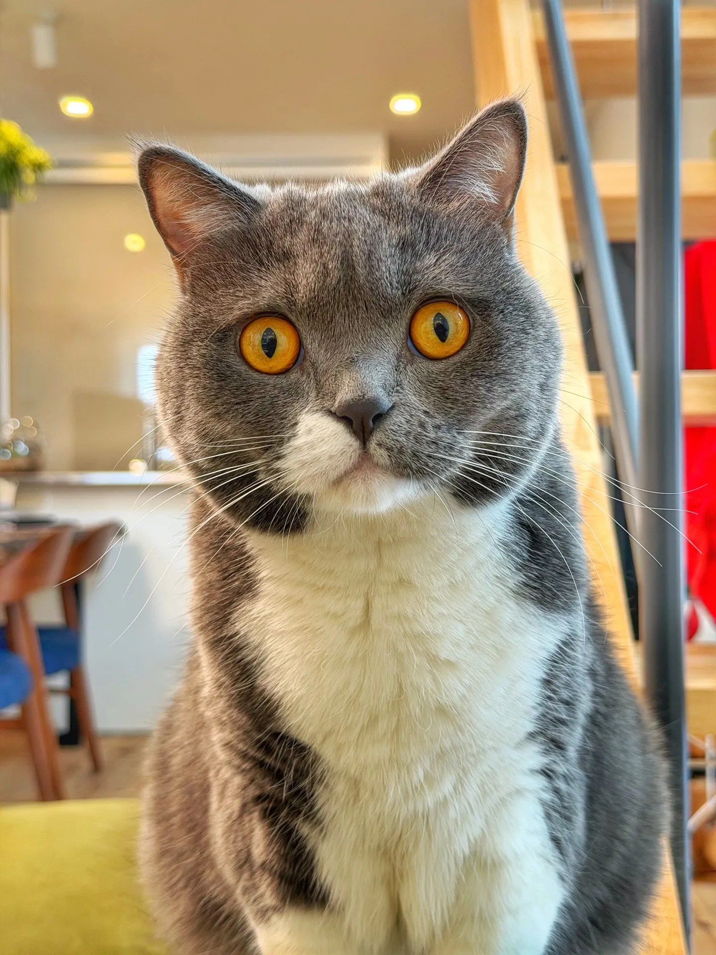 「こだわりの植物が揃うバーレルプランツ」