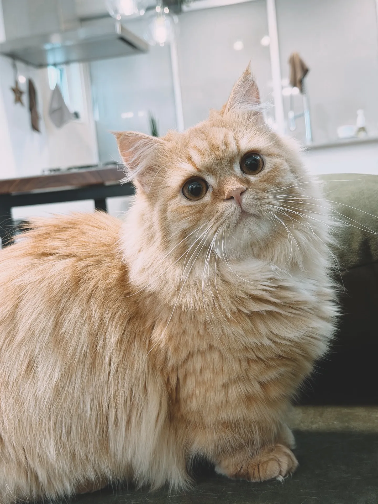 「こだわりの植物が揃うバーレルプランツ」