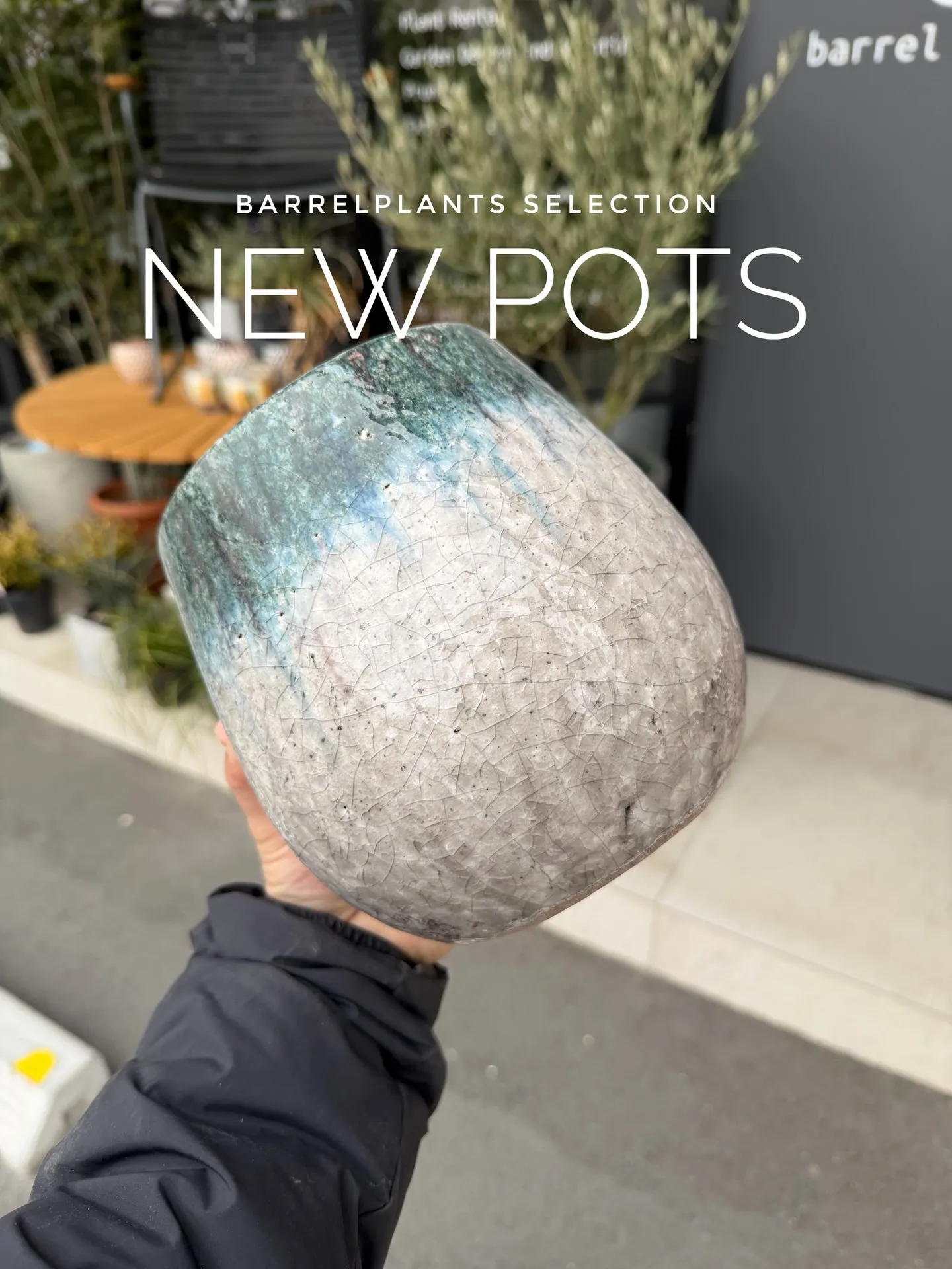 新作の鉢、入荷しました。