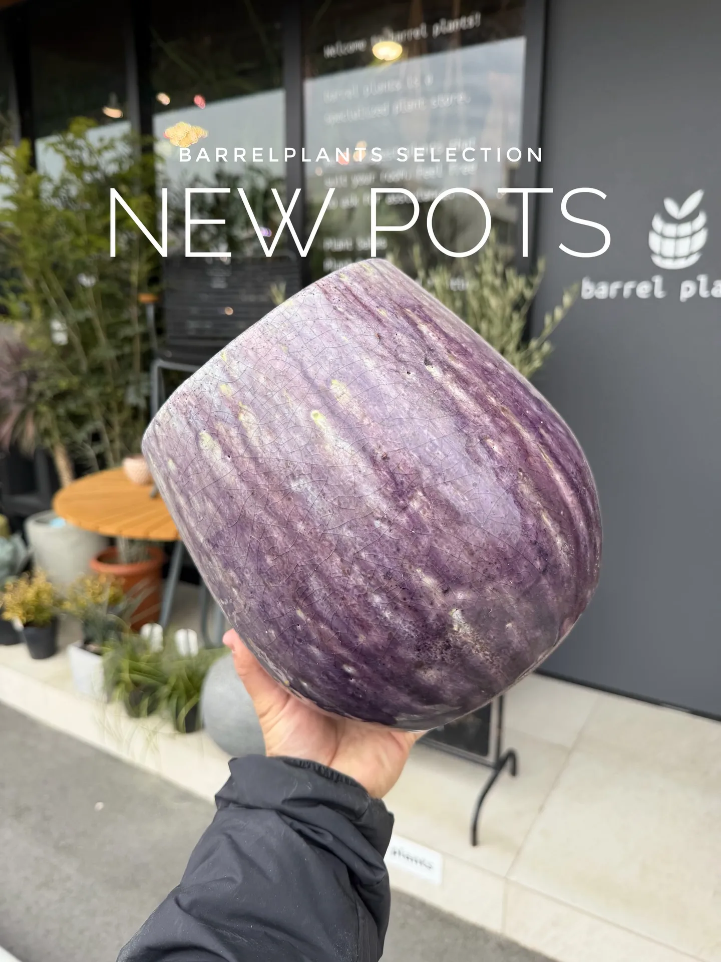 新作の鉢、入荷しました。