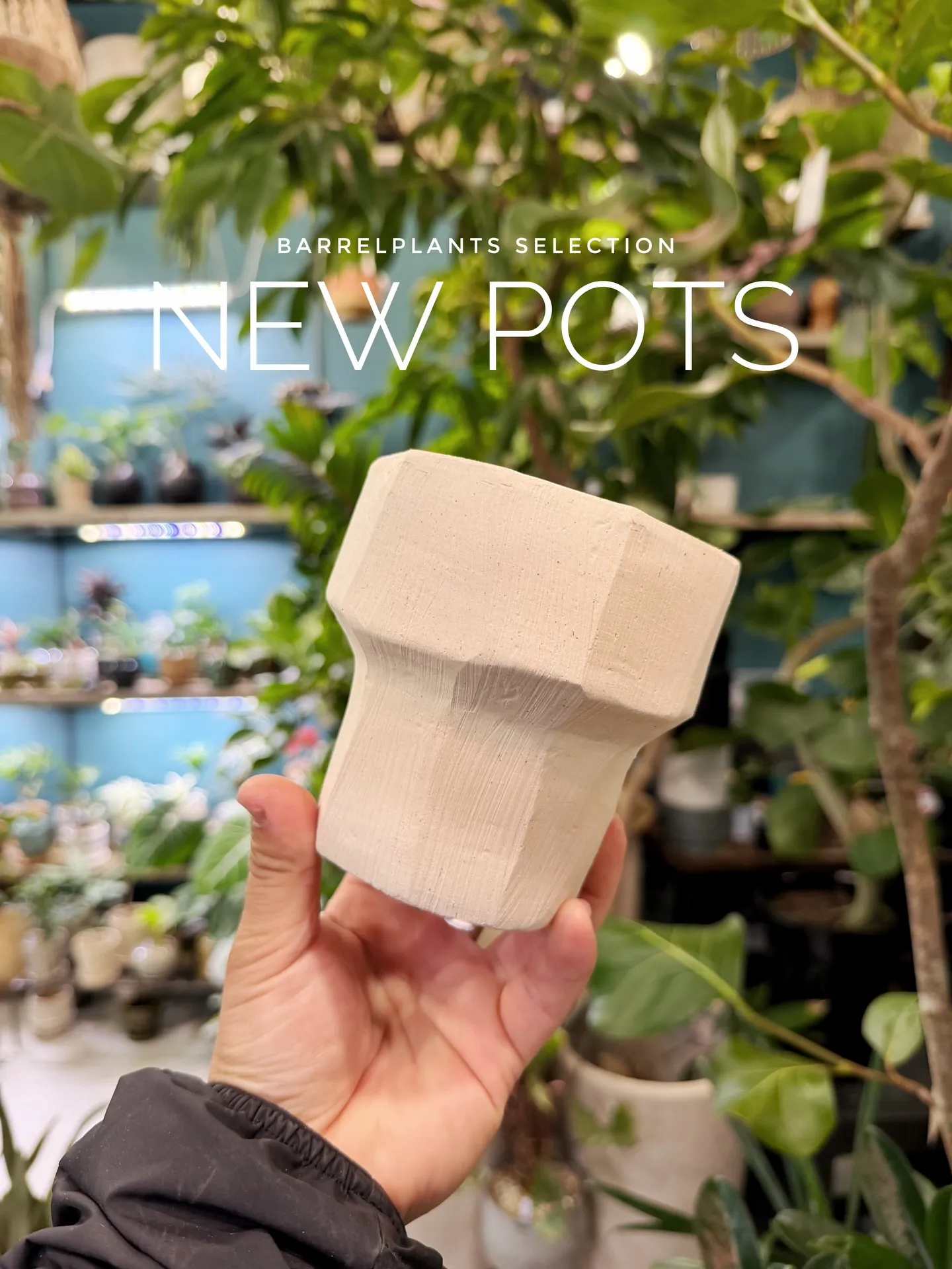 新作の鉢、入荷しました。