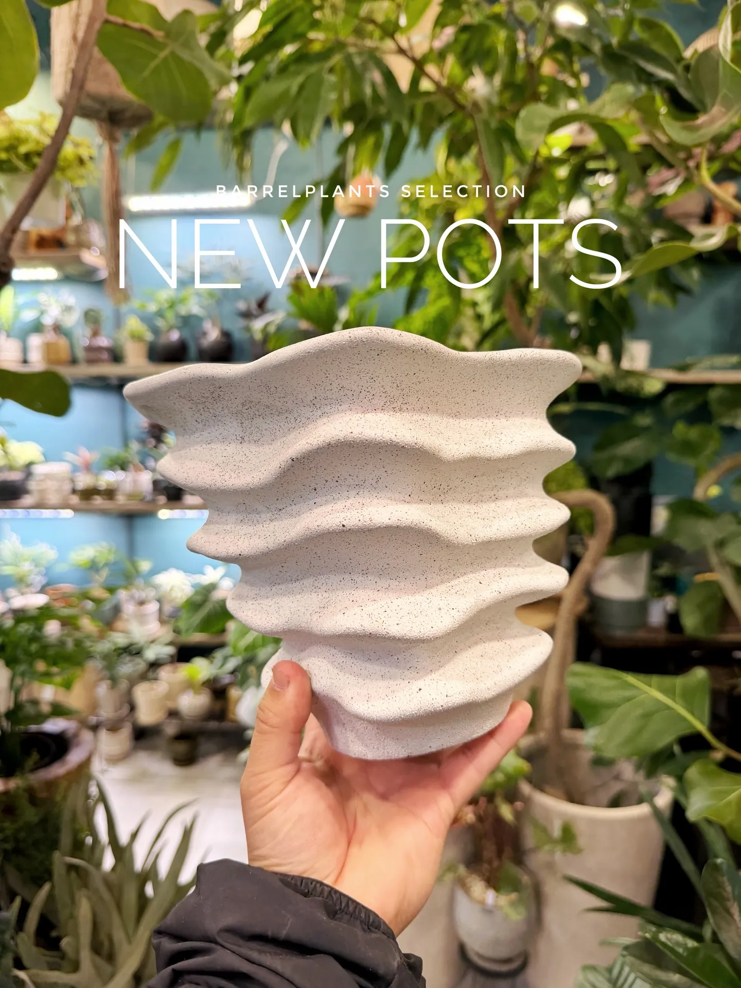 新作の鉢、入荷しました。