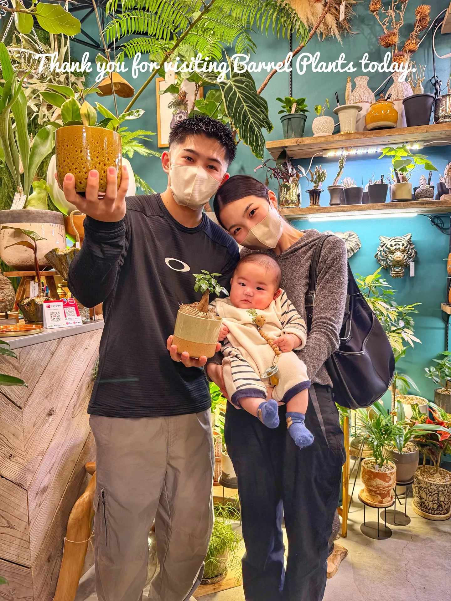 新作の鉢、入荷しました。