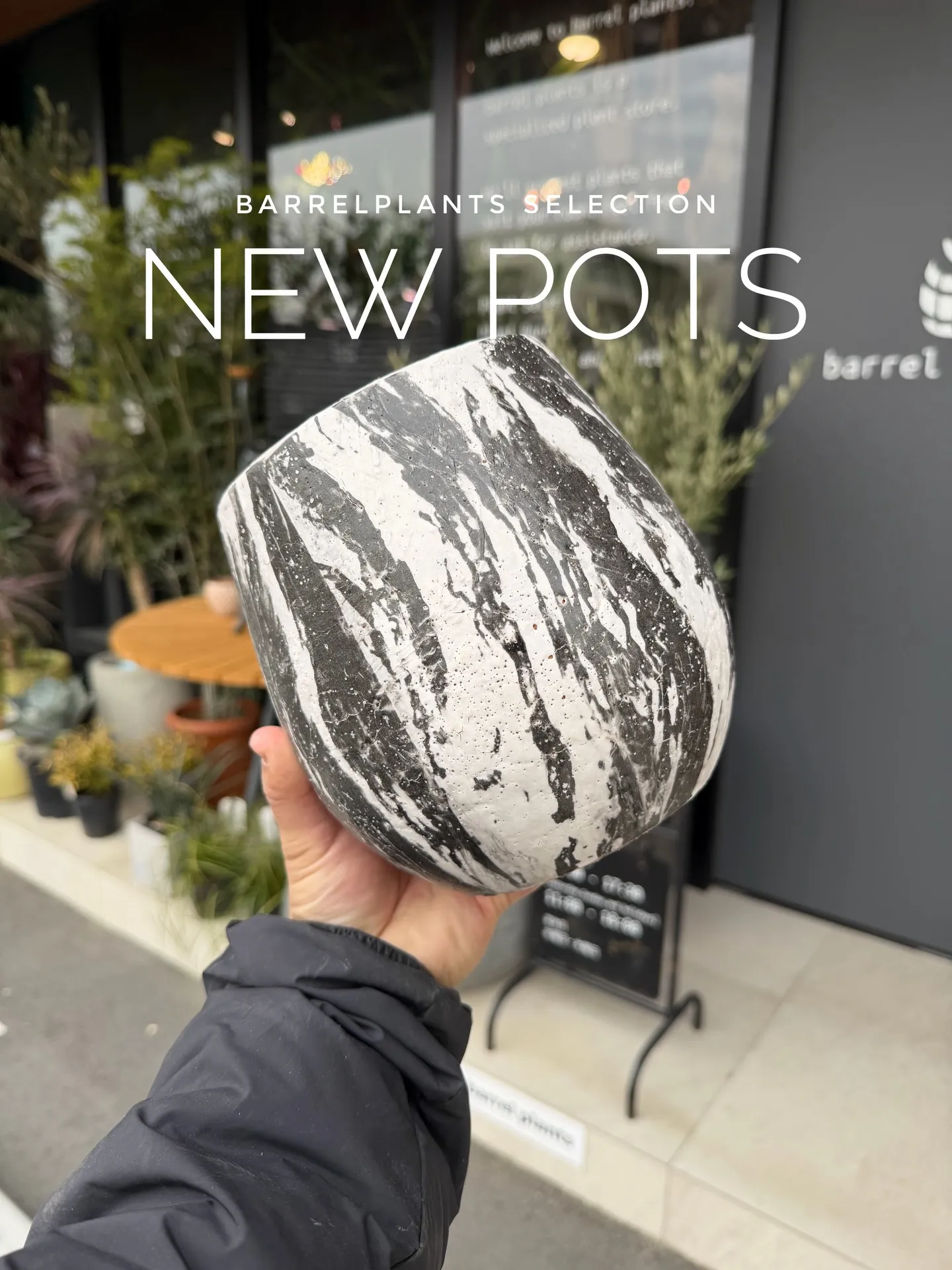 新作の鉢、入荷しました。