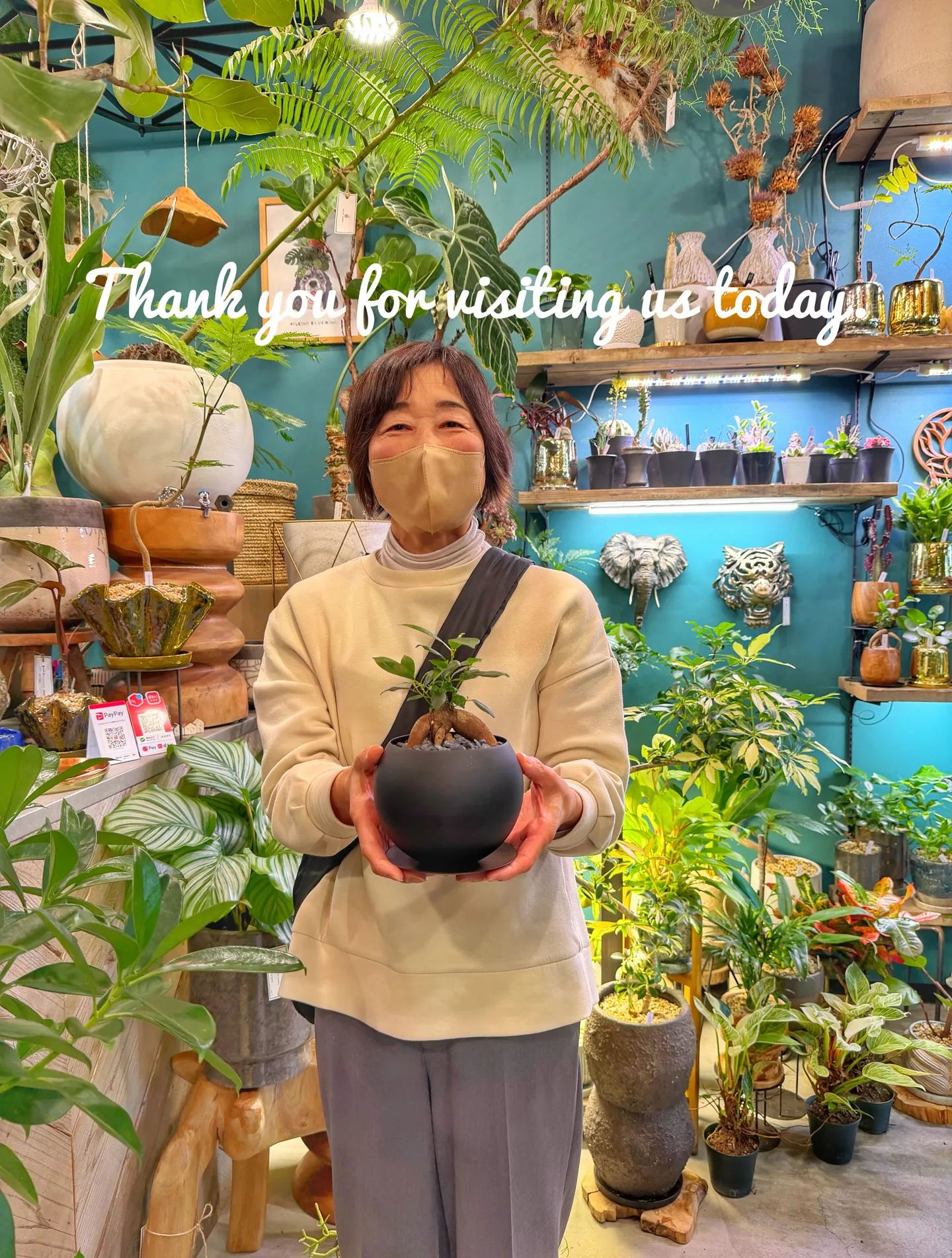 球根は土派？水耕派？