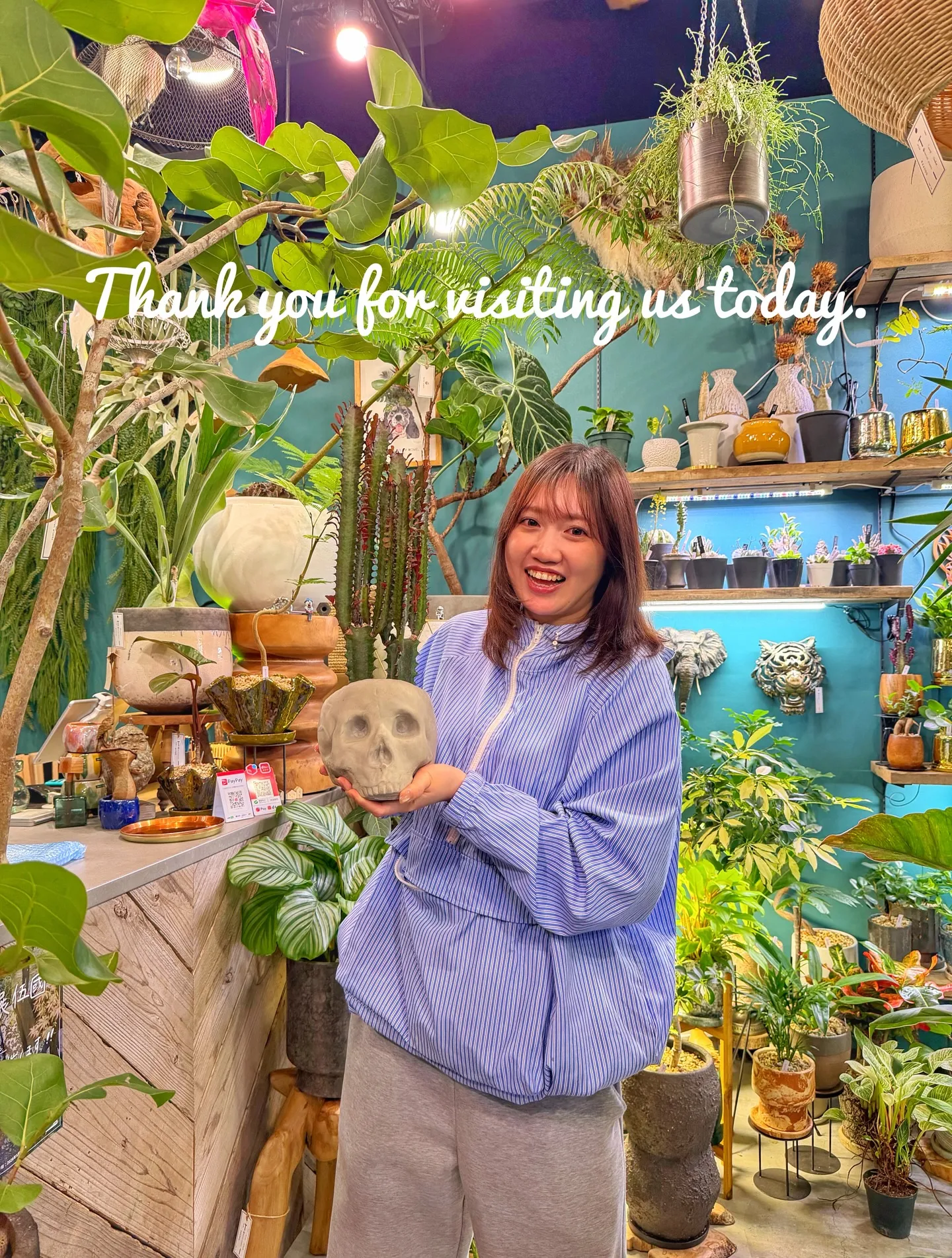 球根は土派？水耕派？