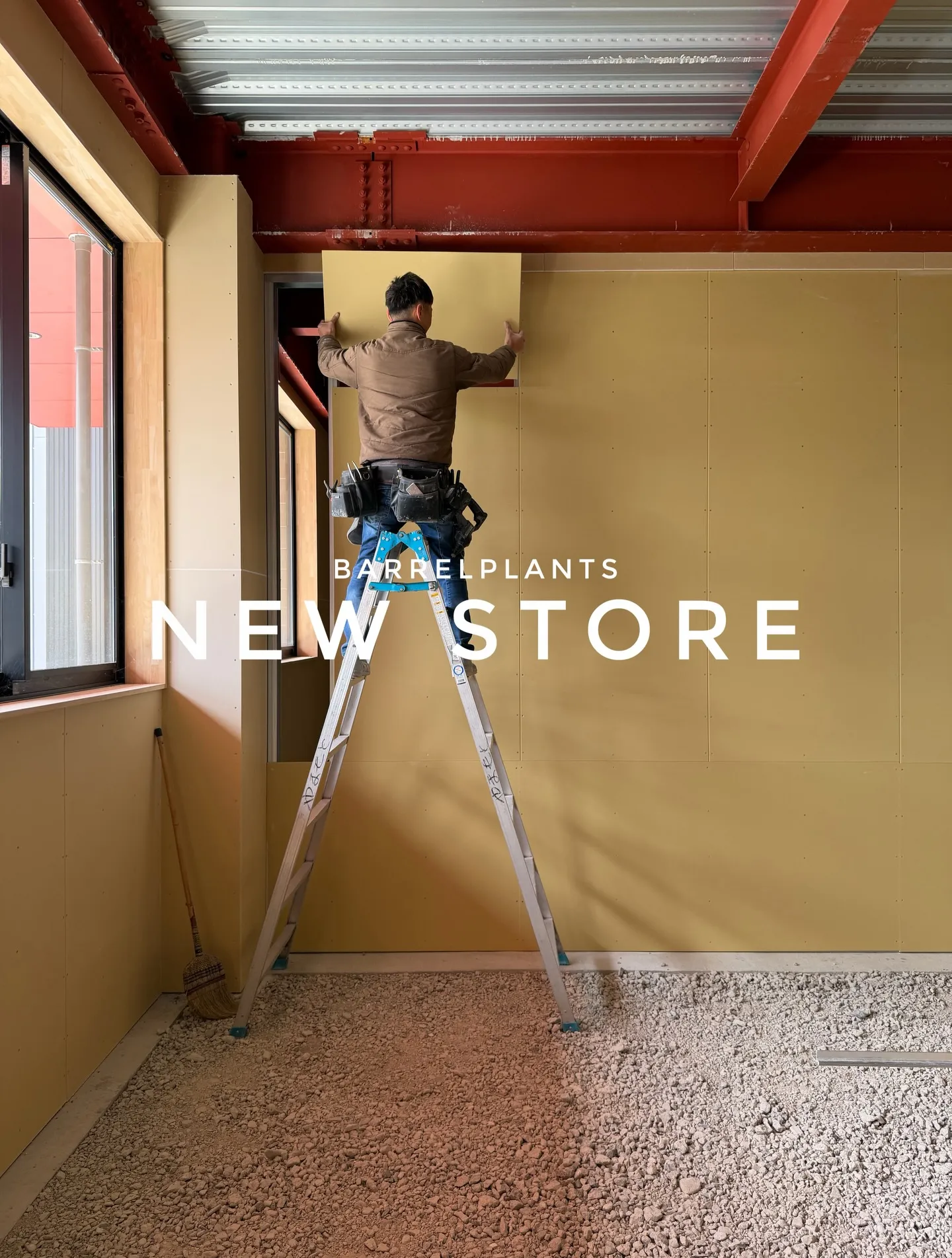 球根は土派？水耕派？