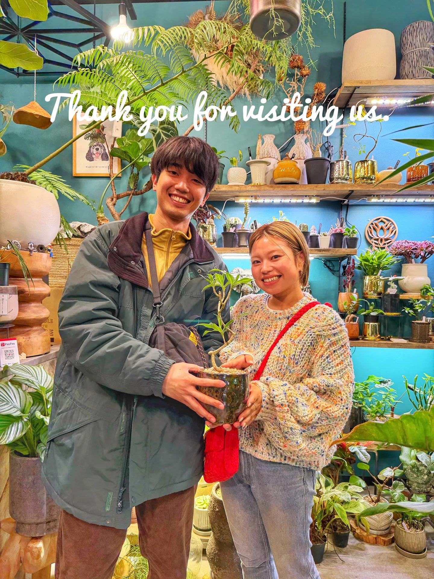 新作のおすすめ鉢が入荷しました。