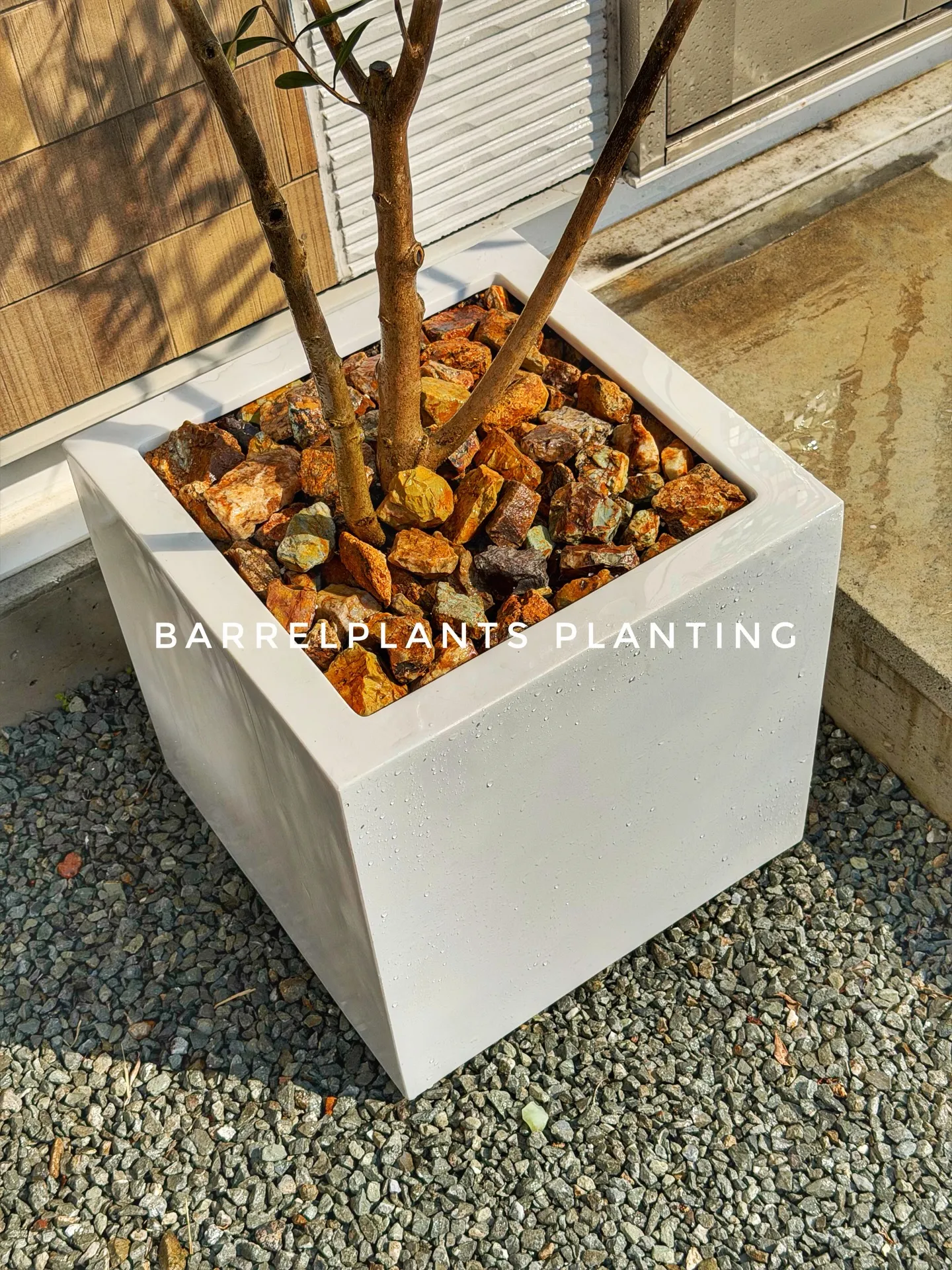 新作のおすすめ鉢が入荷しました。