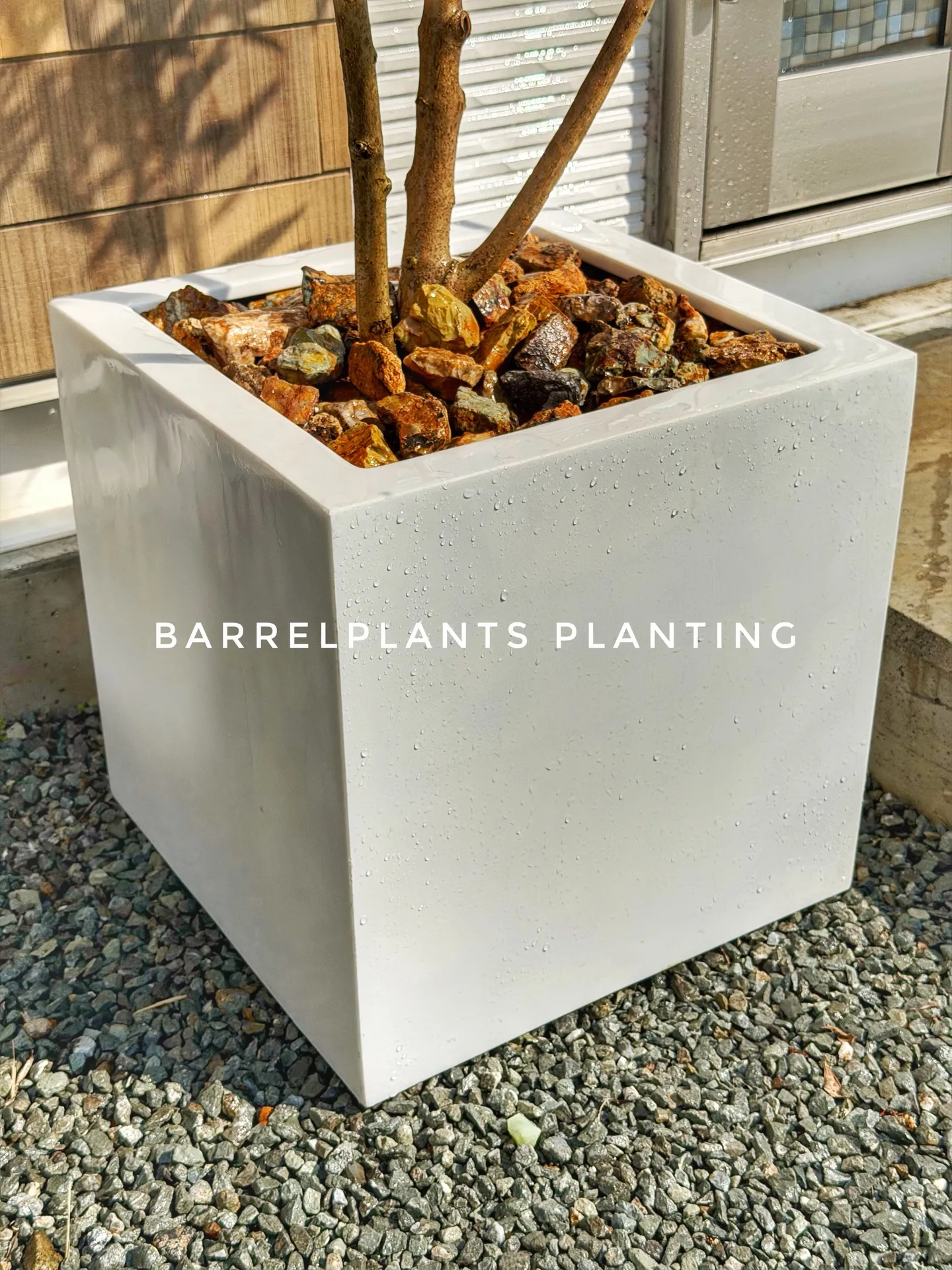 新作のおすすめ鉢が入荷しました。