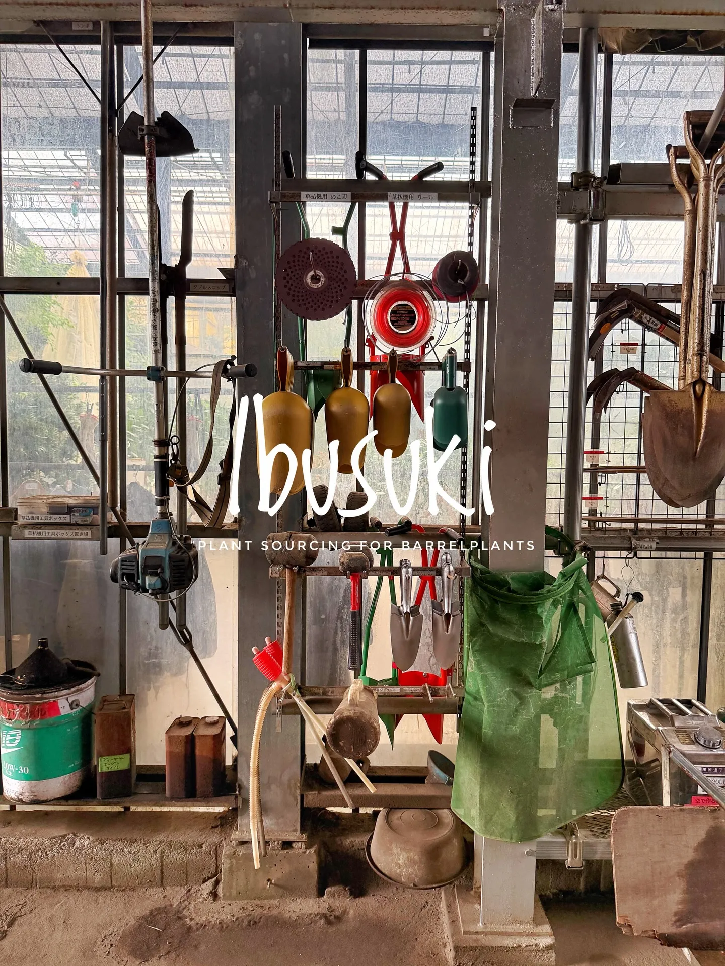 【指宿でしか出逢えない植物を求めて。