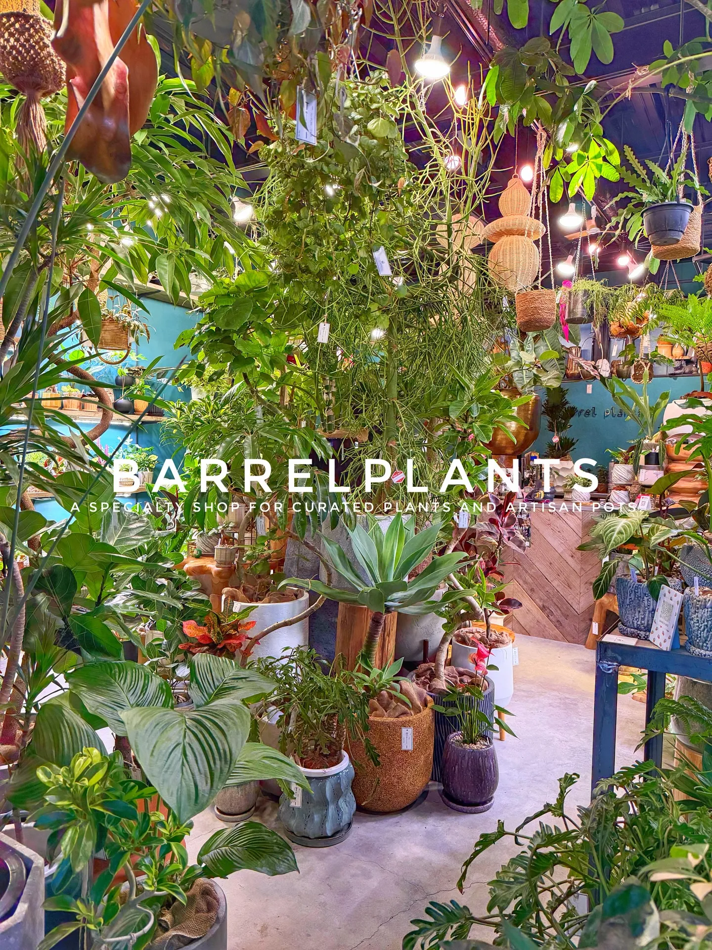 植物に囲まれる特別な時間。