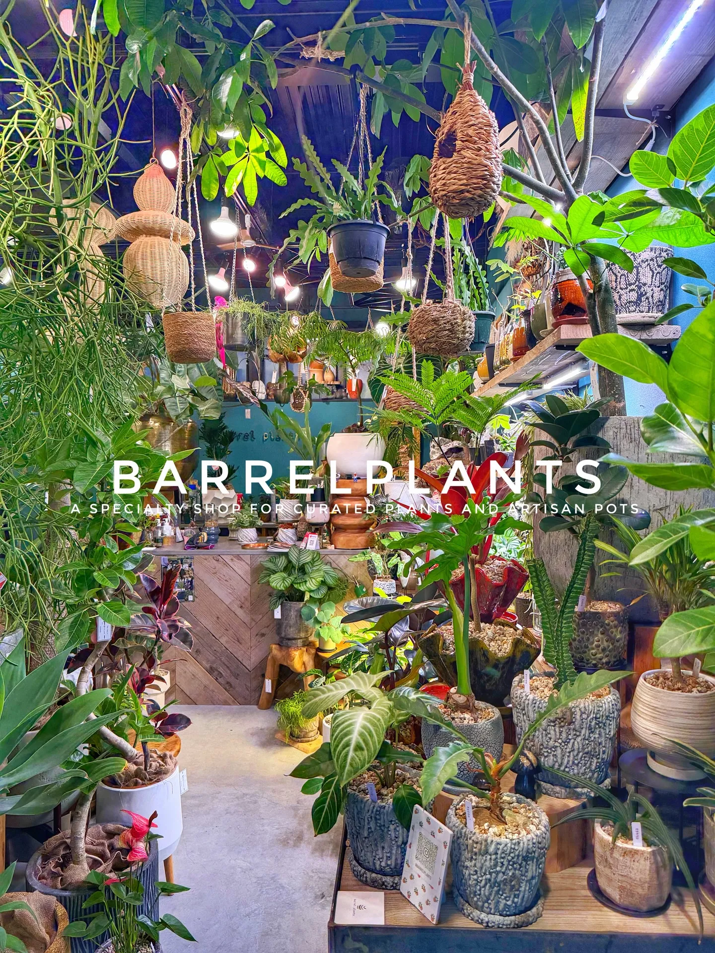 植物に囲まれる特別な時間。