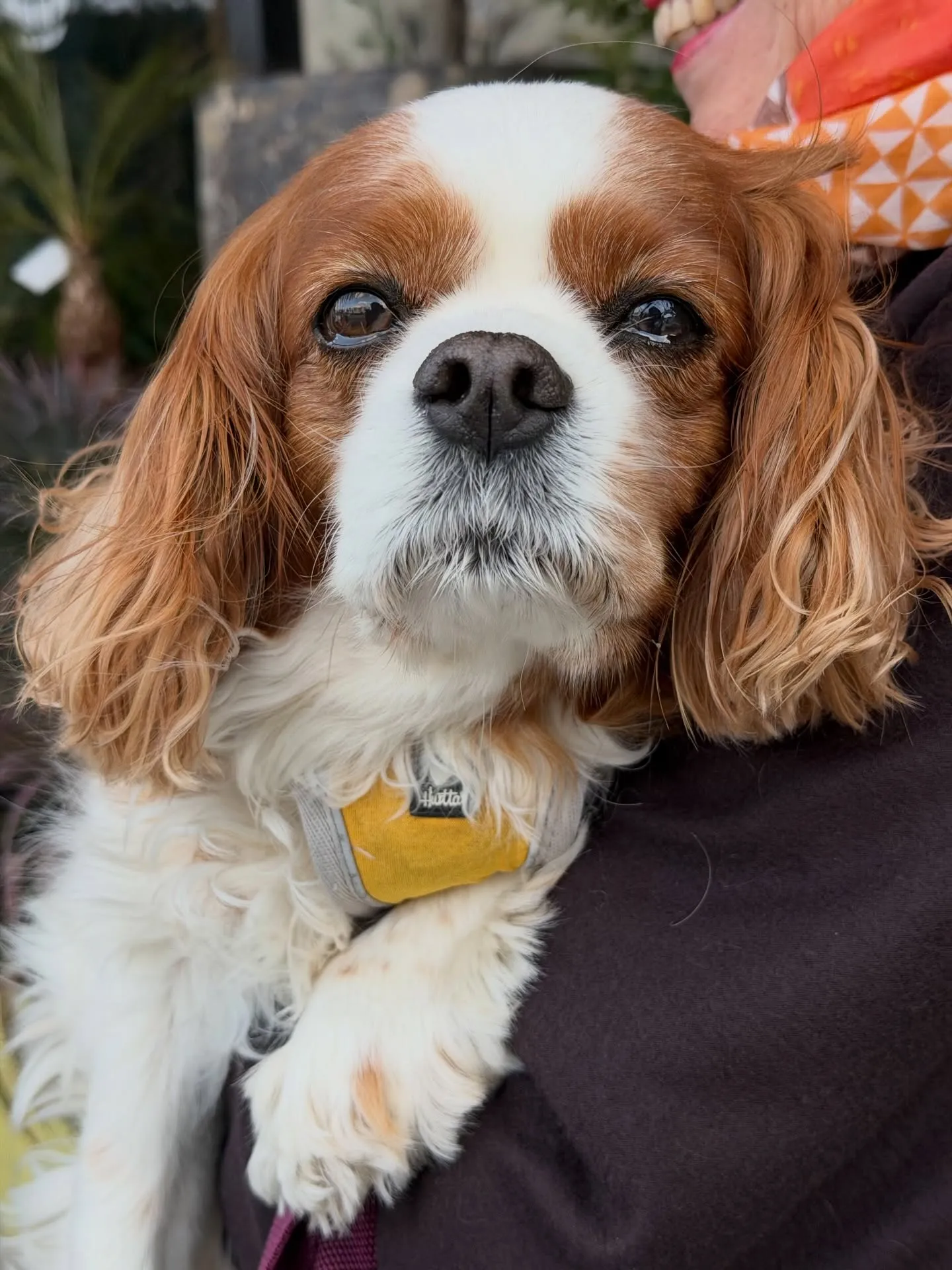 植物に囲まれる特別な時間。