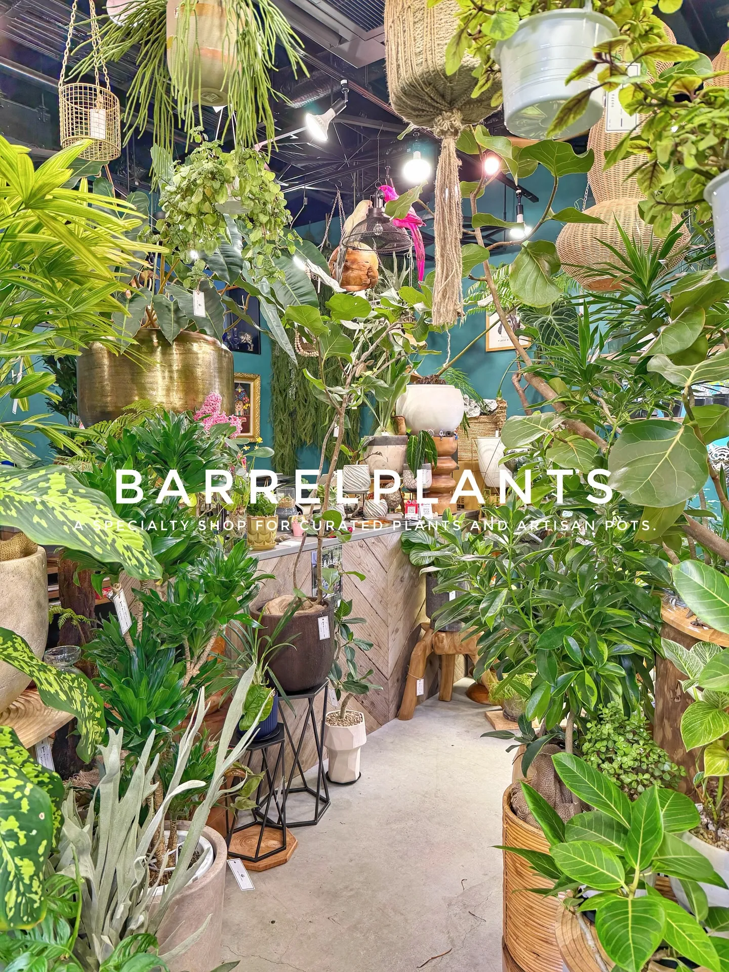 植物に囲まれる特別な時間。