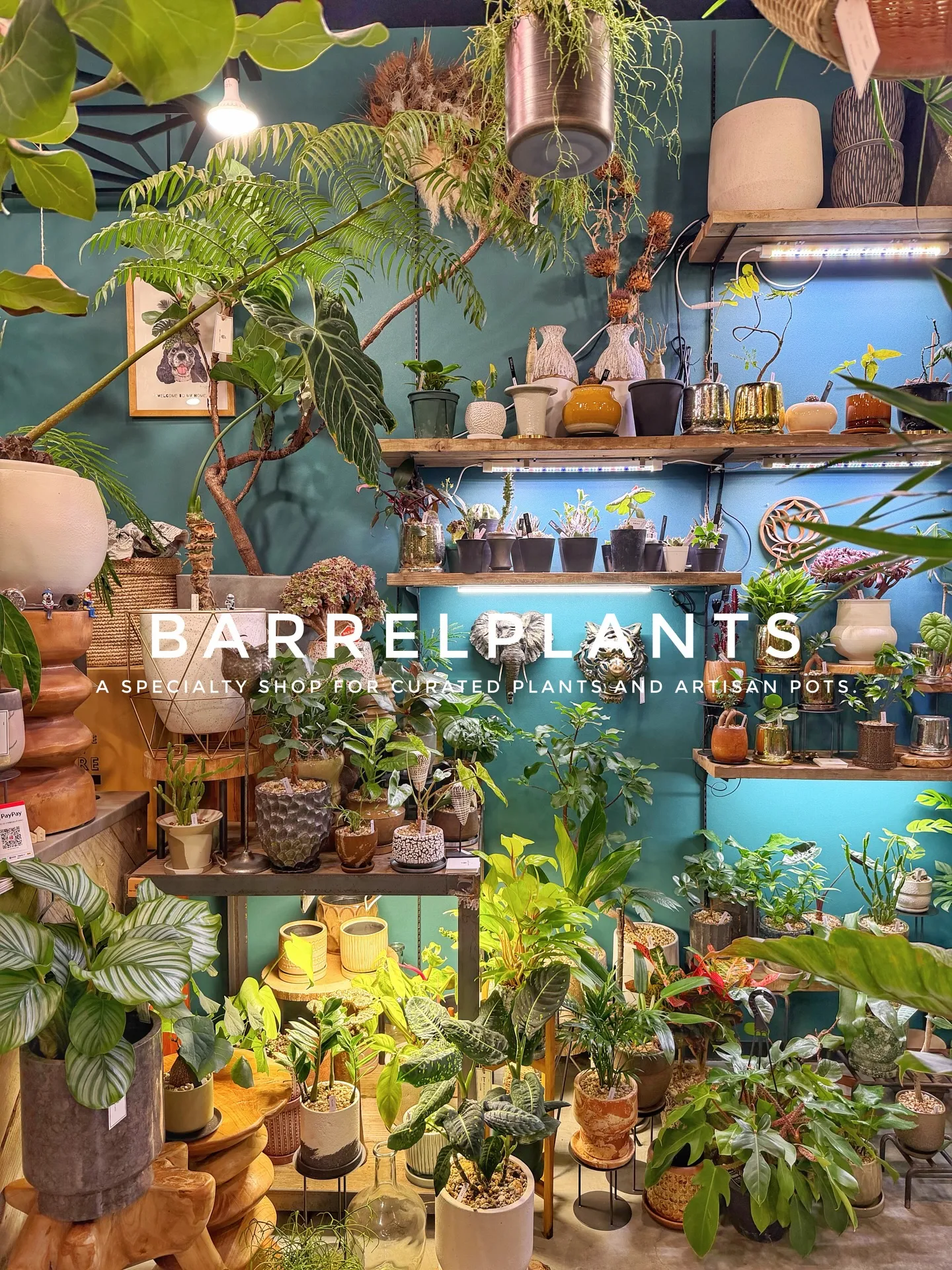 植物に囲まれる特別な時間。