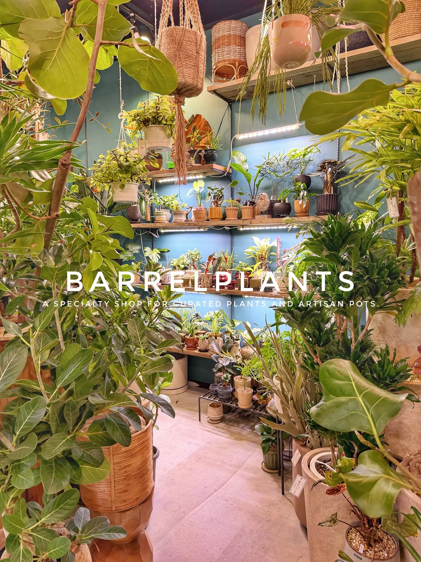 植物に囲まれる特別な時間。